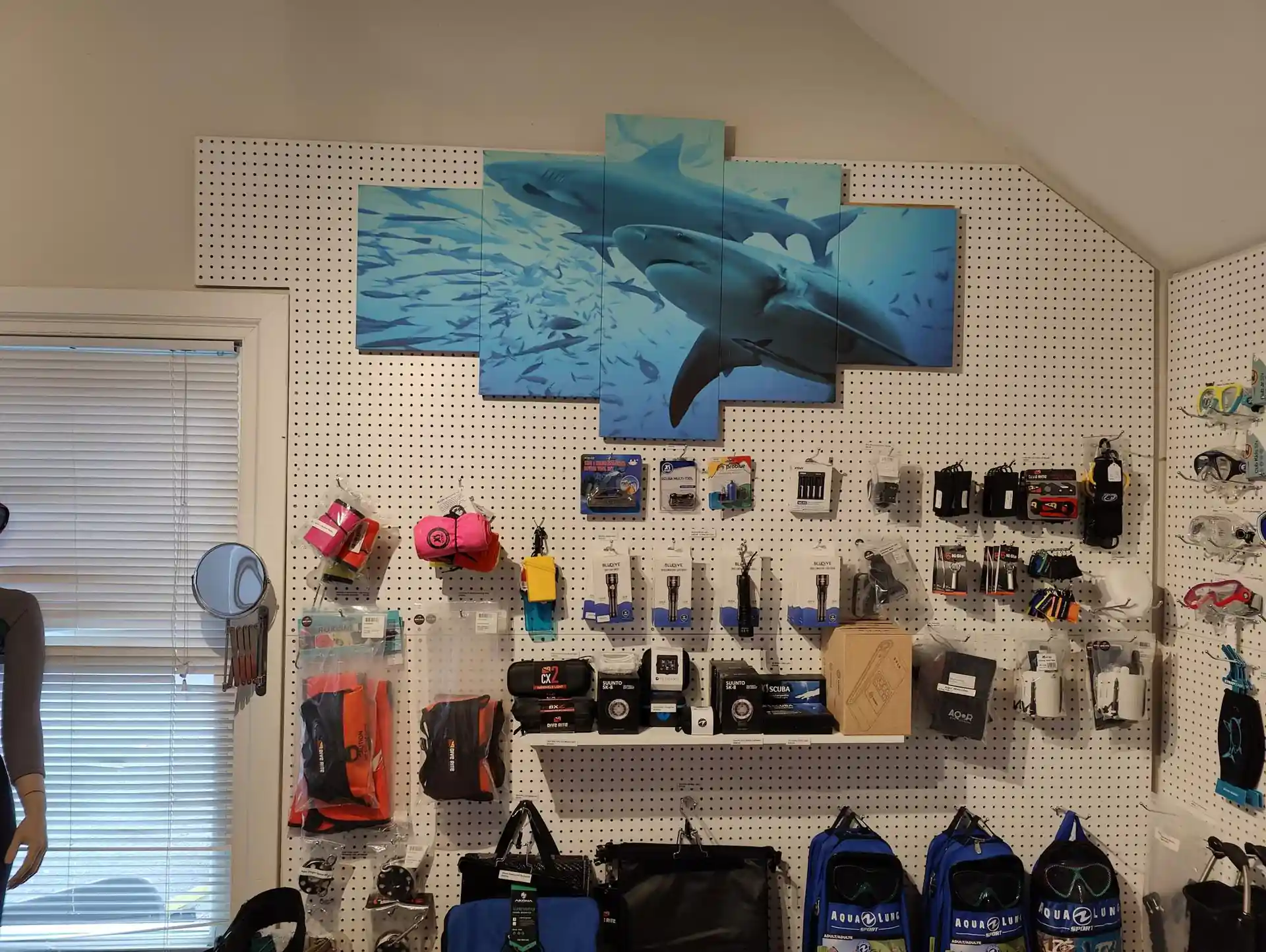 Dive shop photo