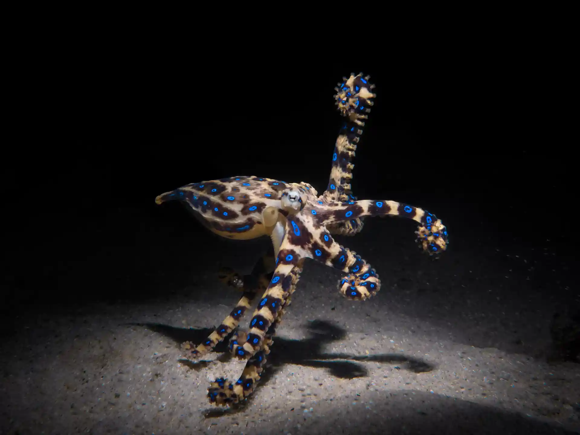 Dive site photo