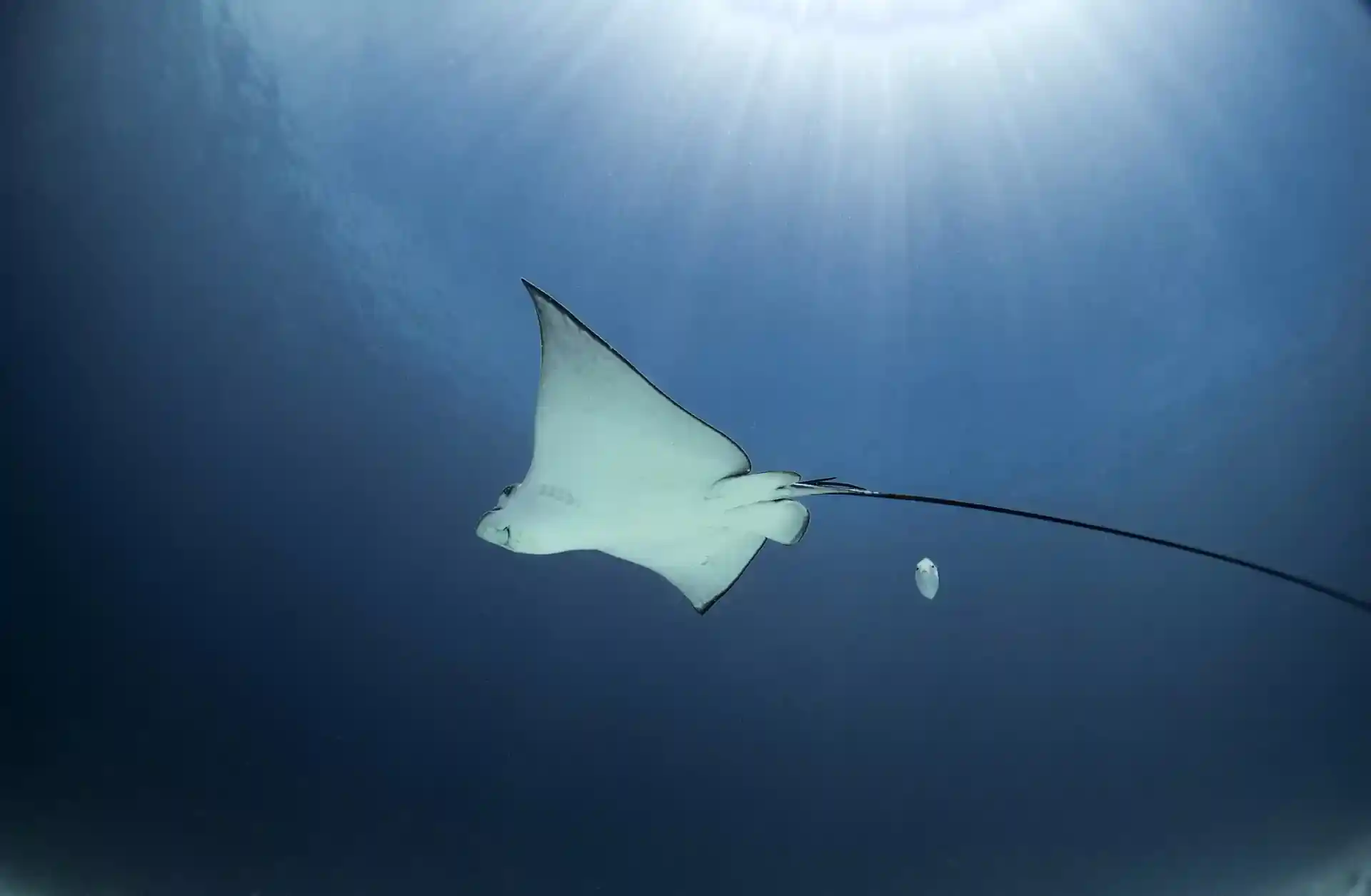 Dive site photo