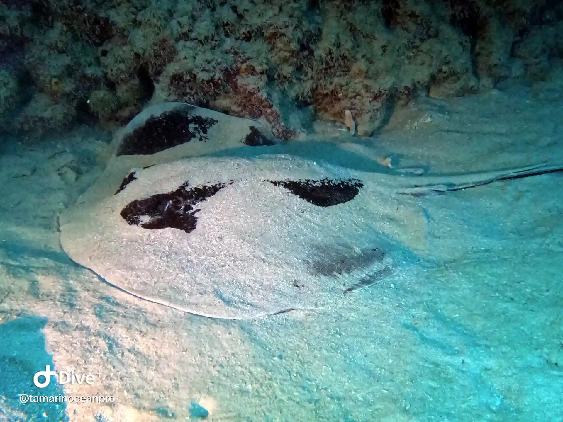 Dive site photo