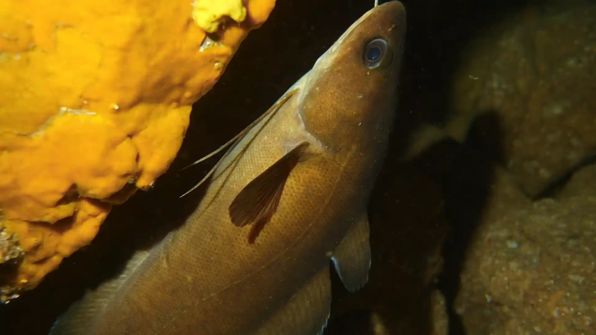 Dive shop photo