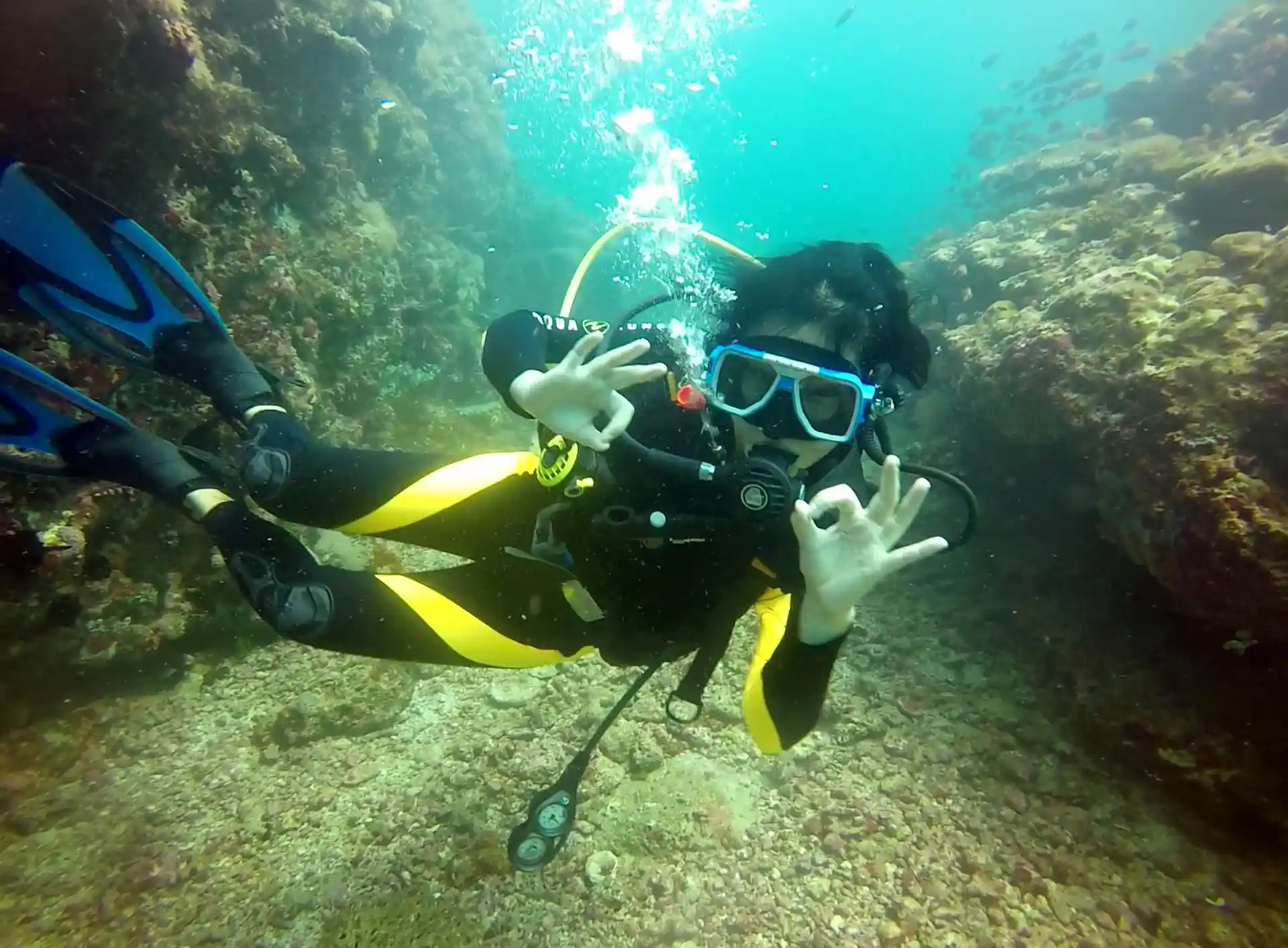 OK, I done the DSD, now try the Open Water Course.