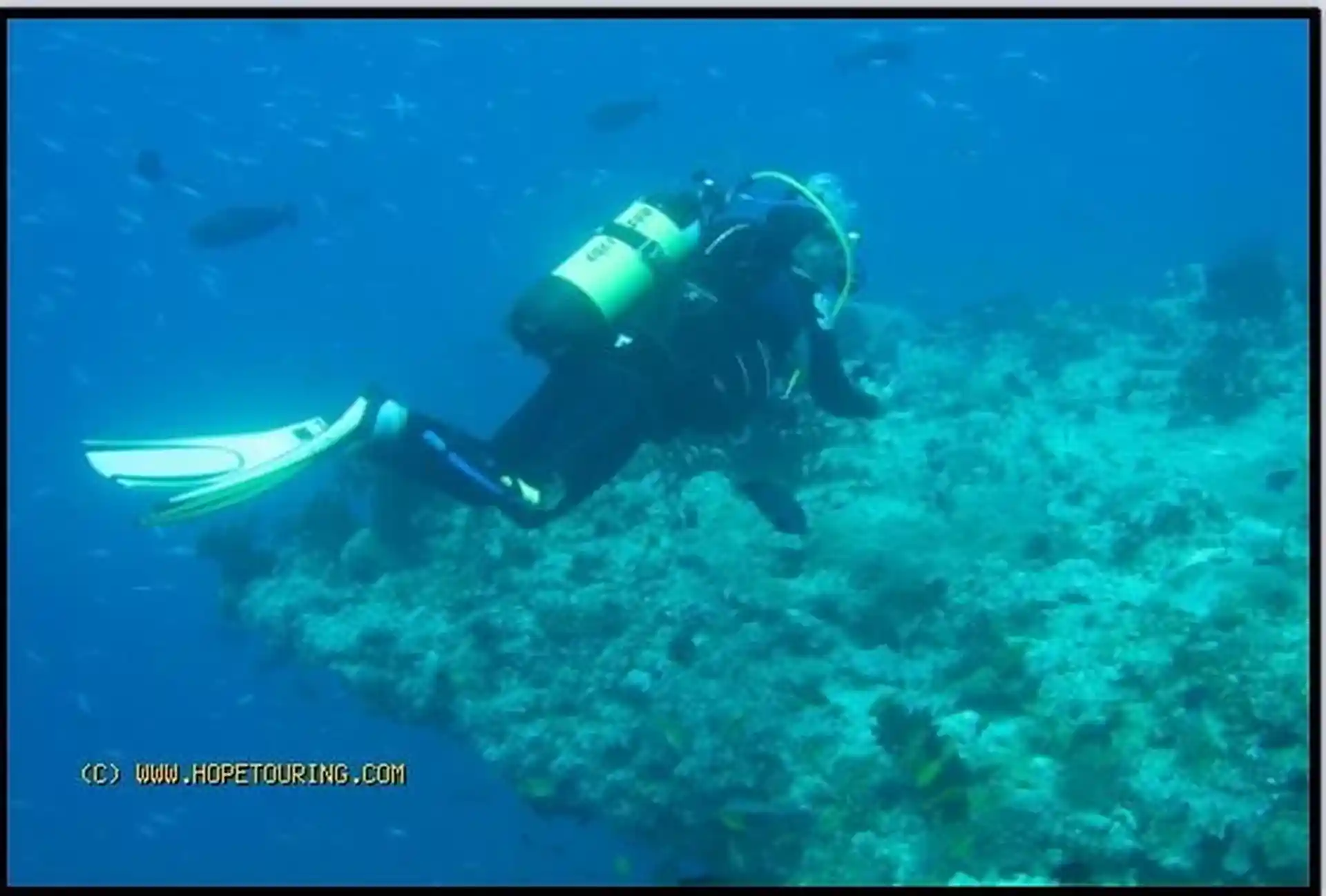 See colorful marine life while diving with Liveaboard Hope Cruiser