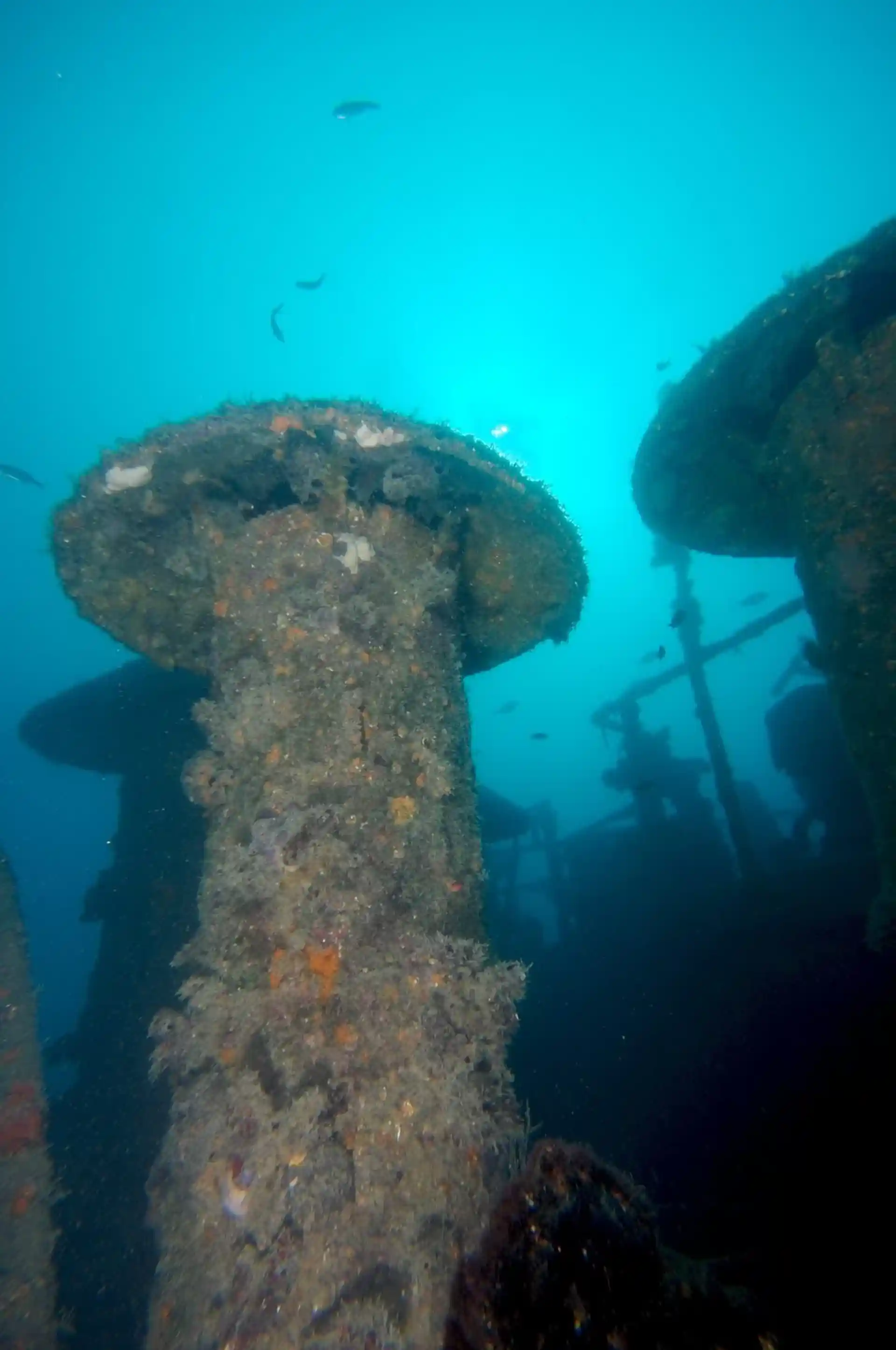 Dive site photo