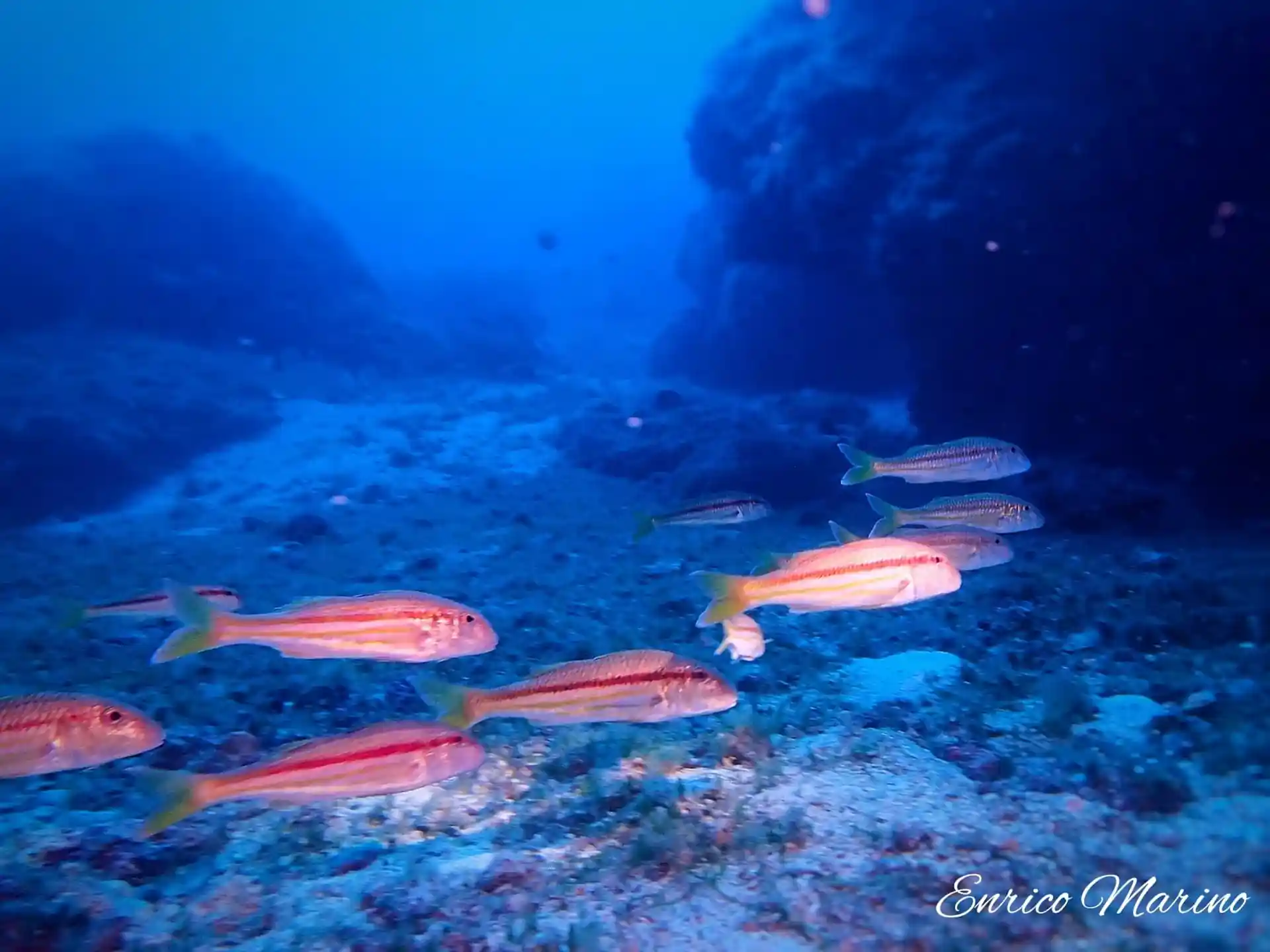 Photo du site de plongée