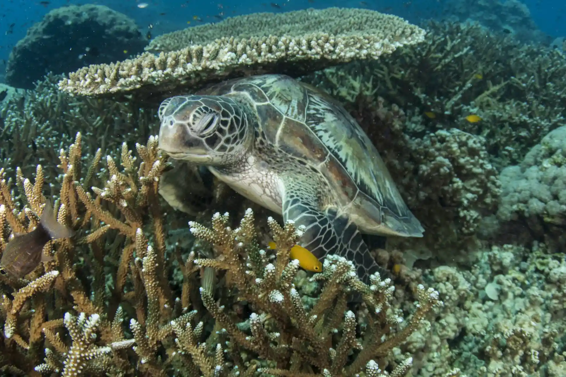다이빙 포인트 사진