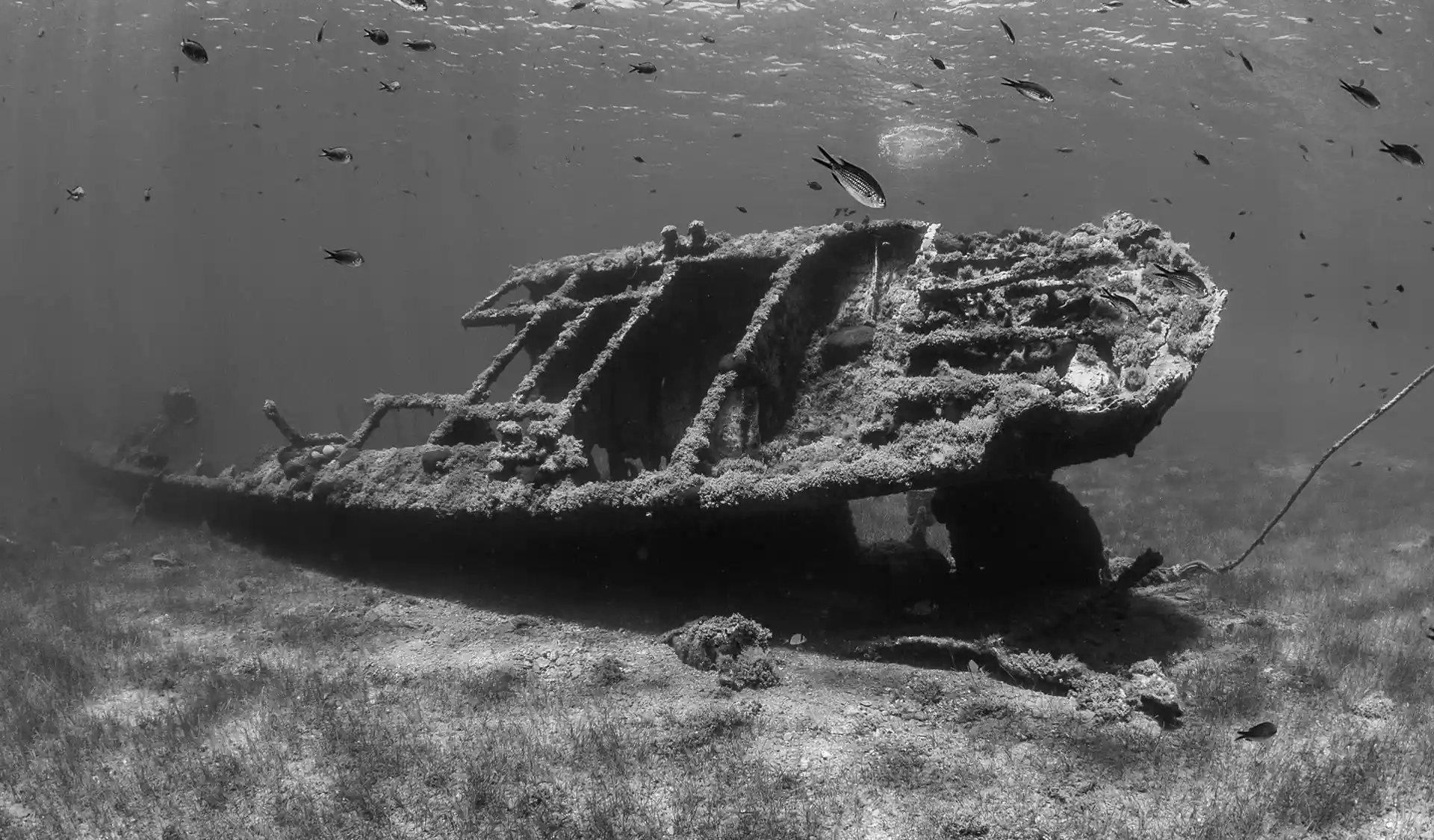 Foto de la tienda de buceo