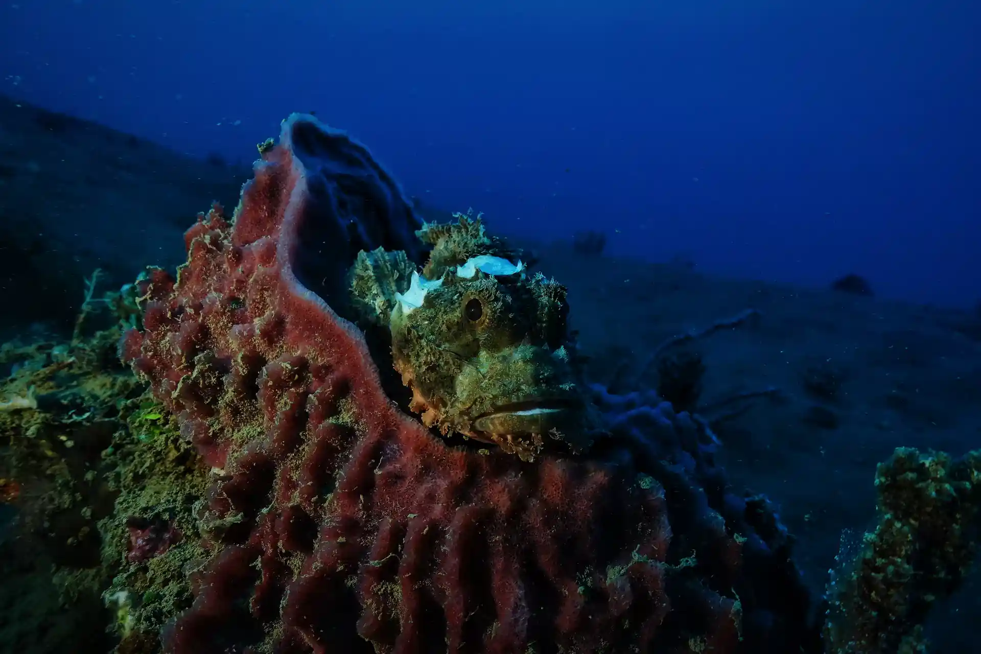 Foto de la actividad