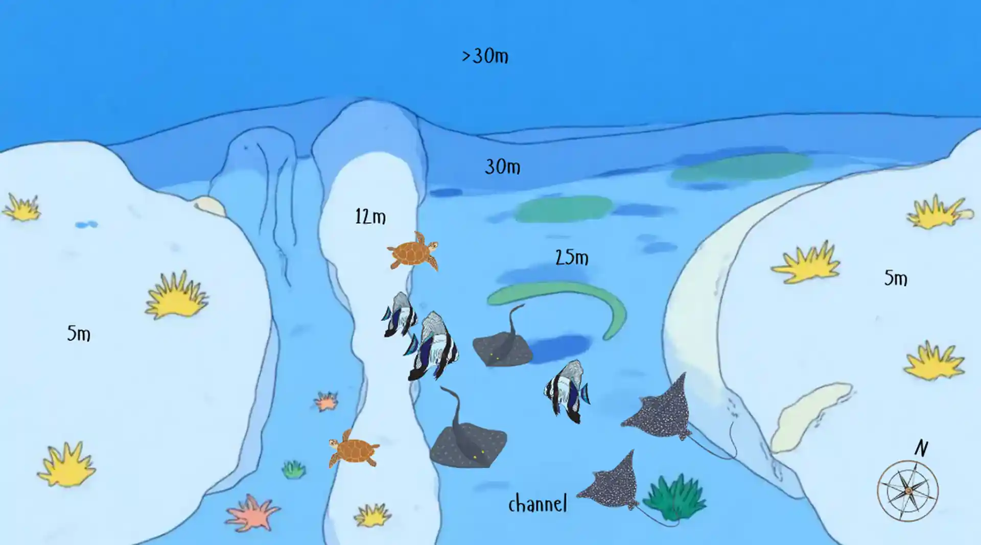 Dive site photo