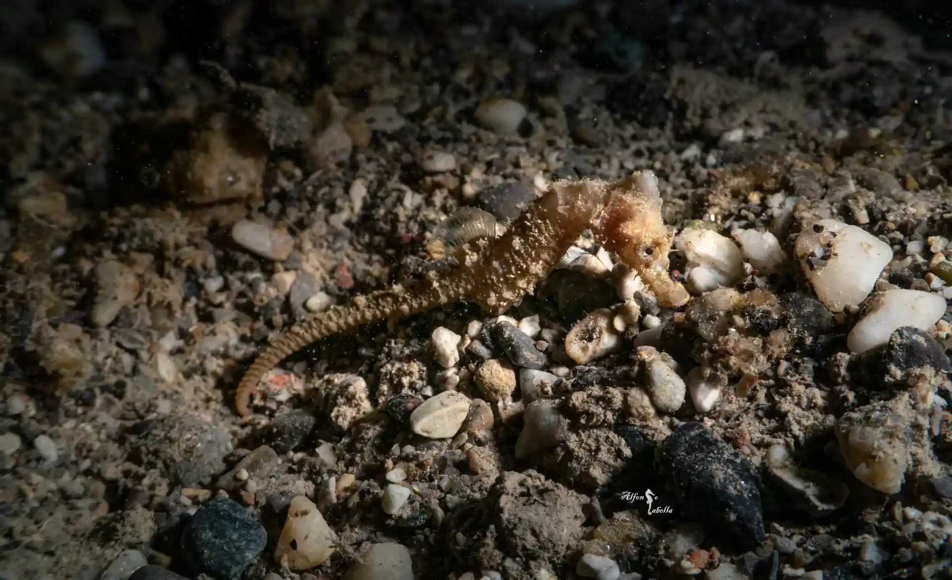 Dive site photo