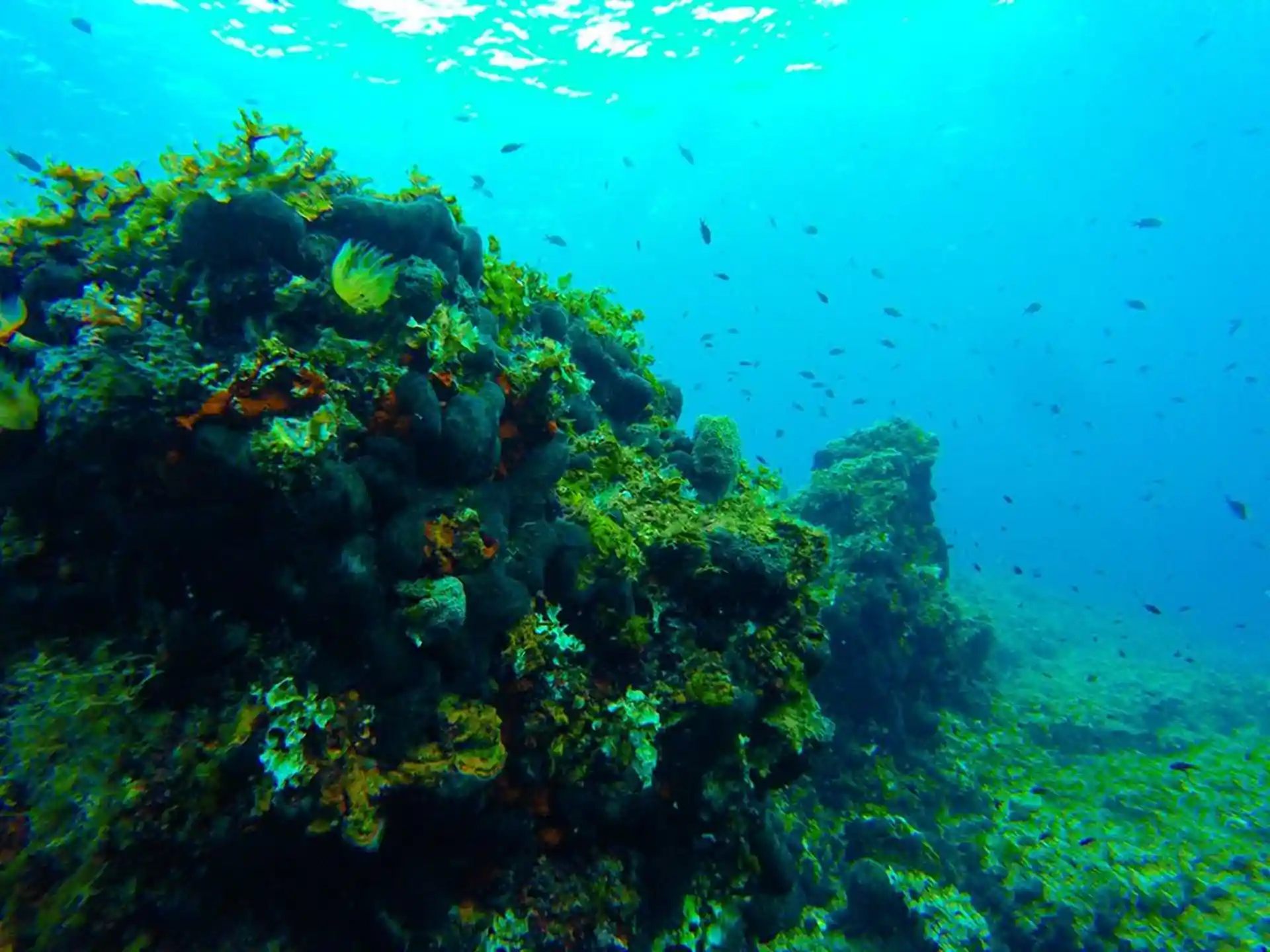 Dive shop photo