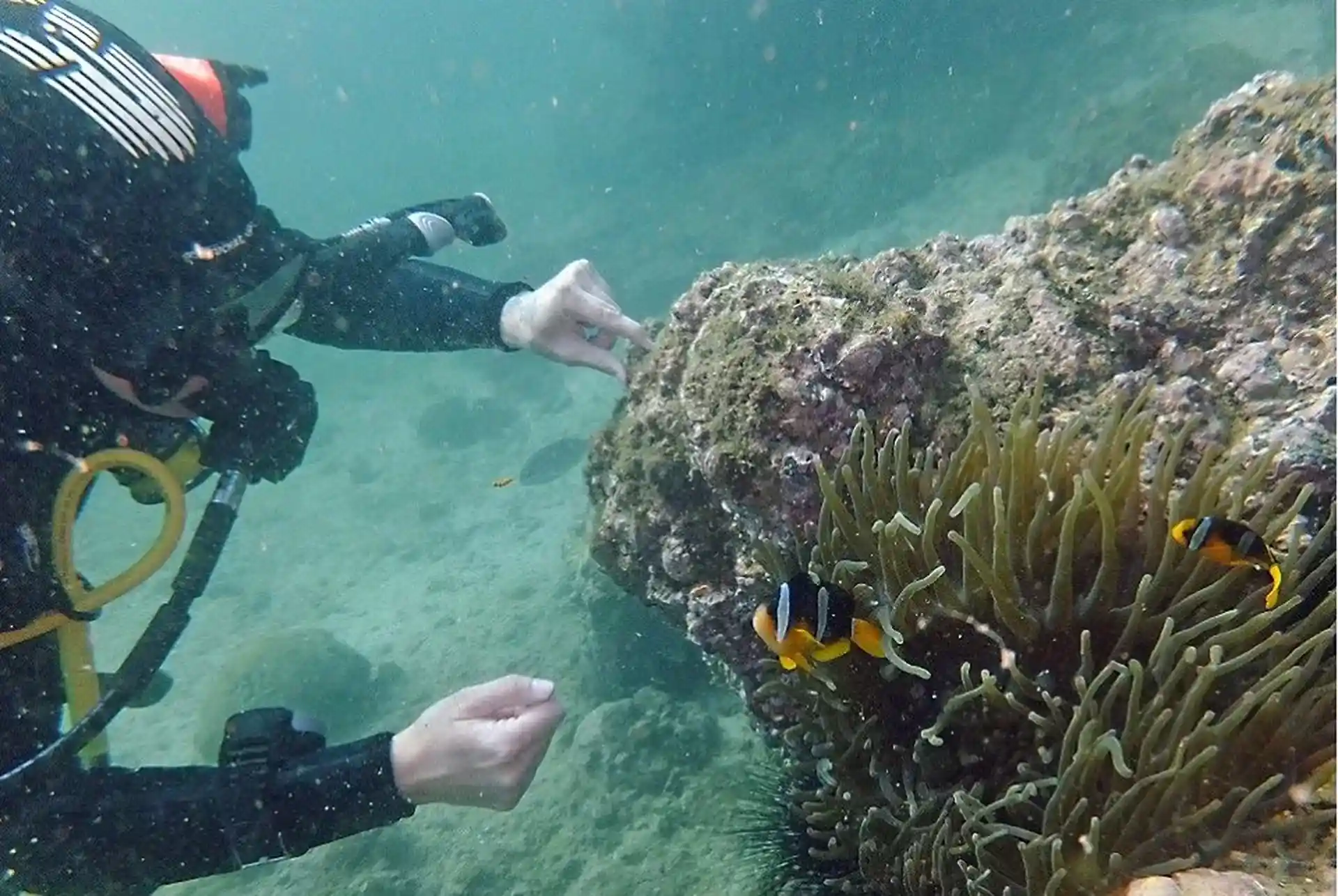 Foto van de duiklocatie