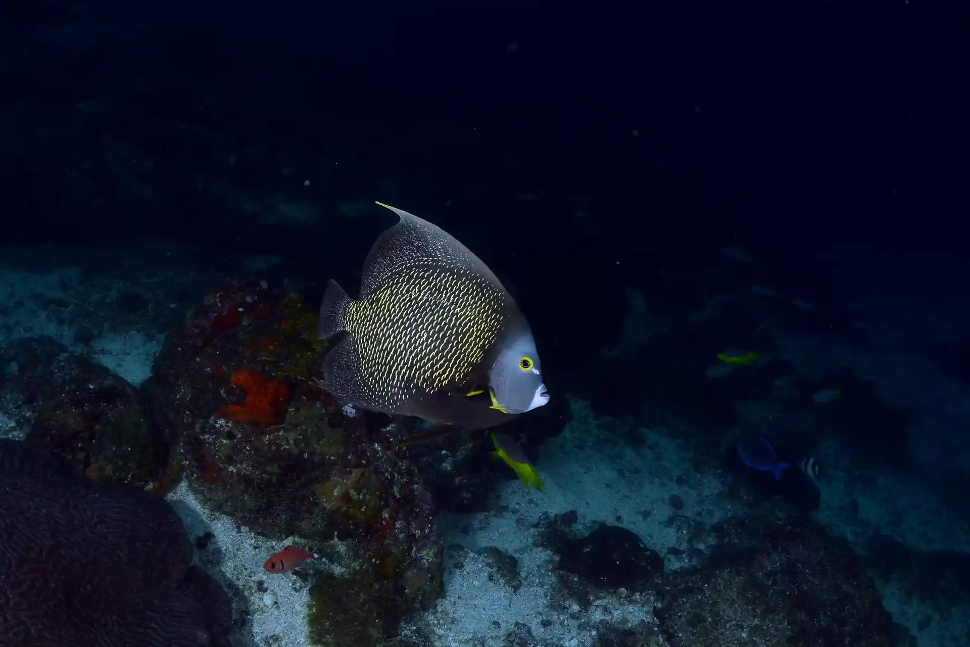 Dive site photo
