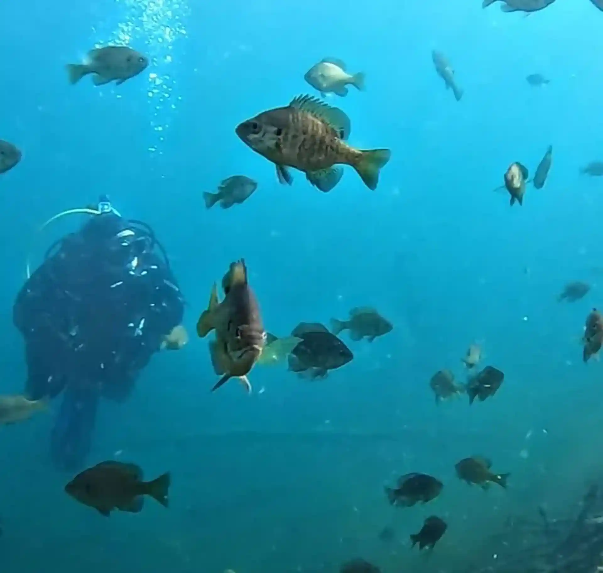 Dive shop photo