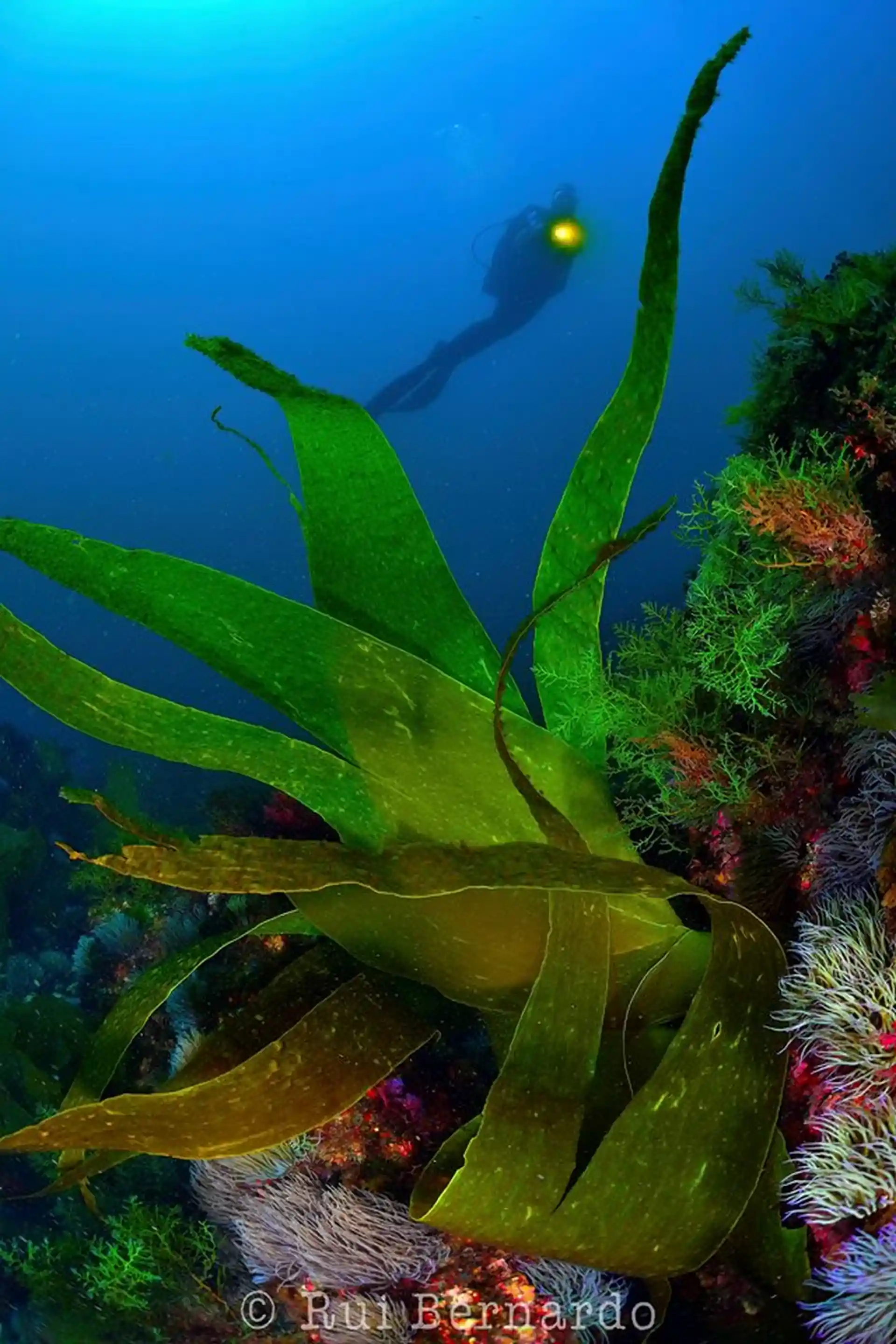 Dive shop photo