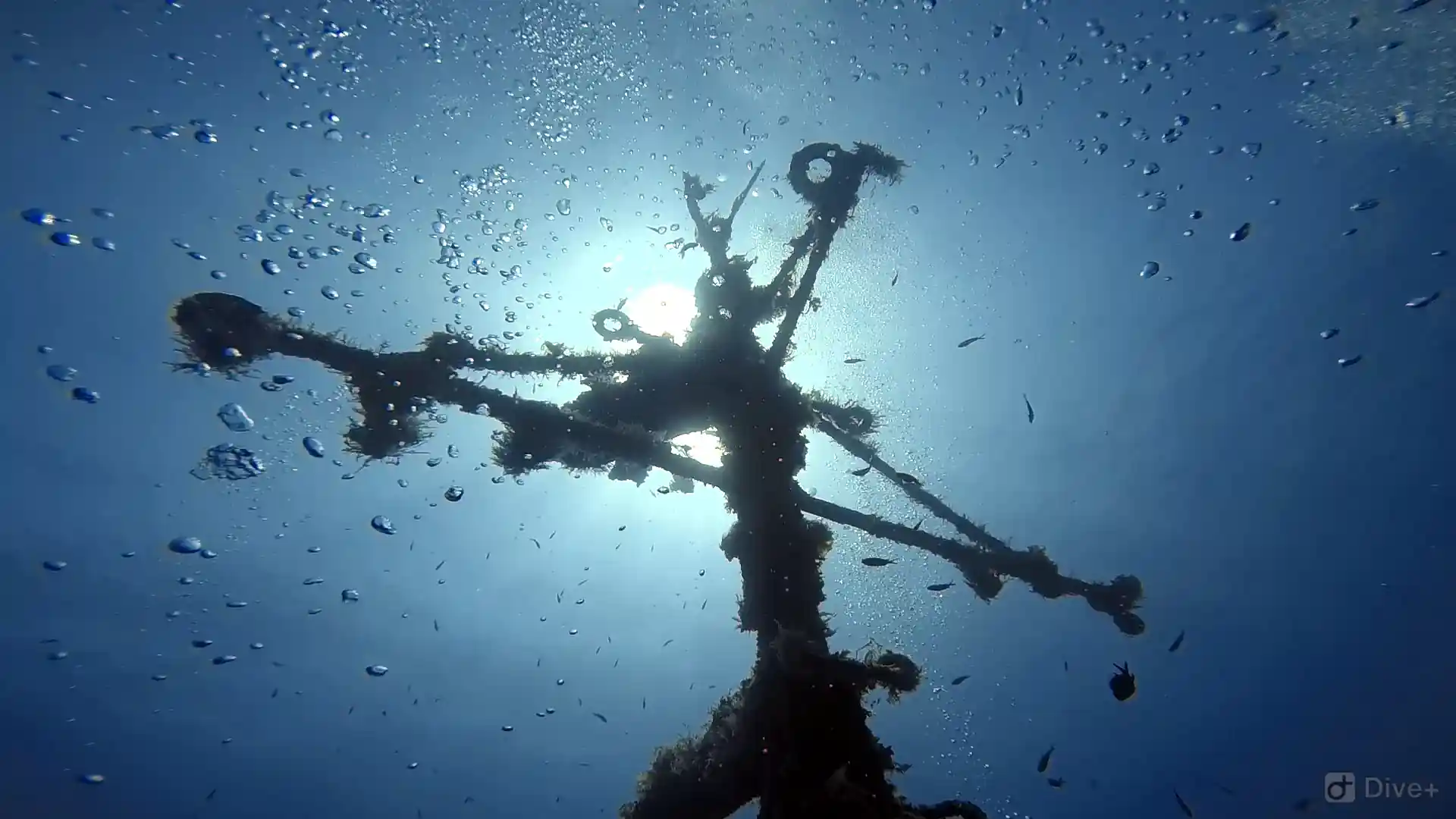 Dive site photo