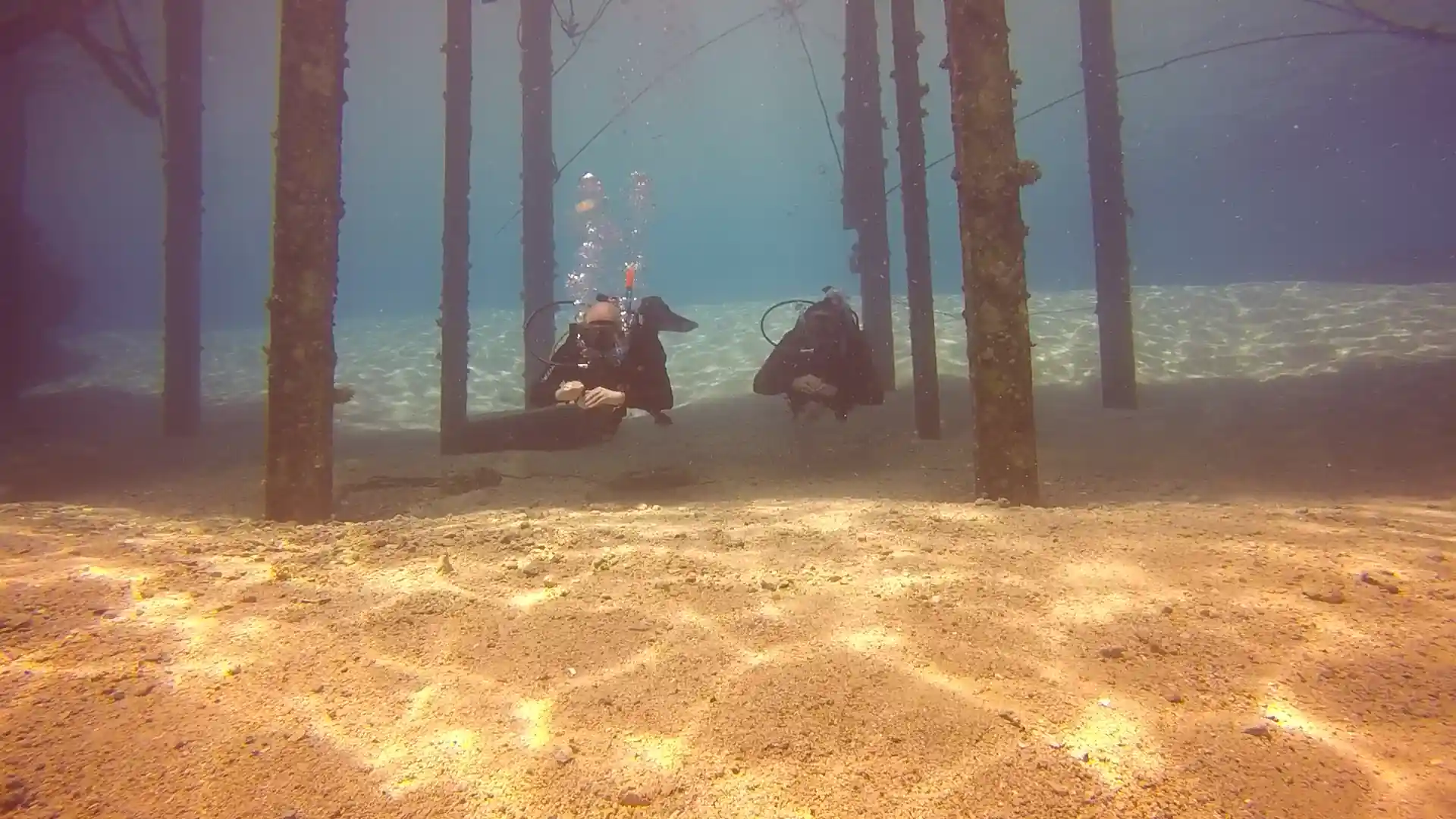 Dive shop photo
