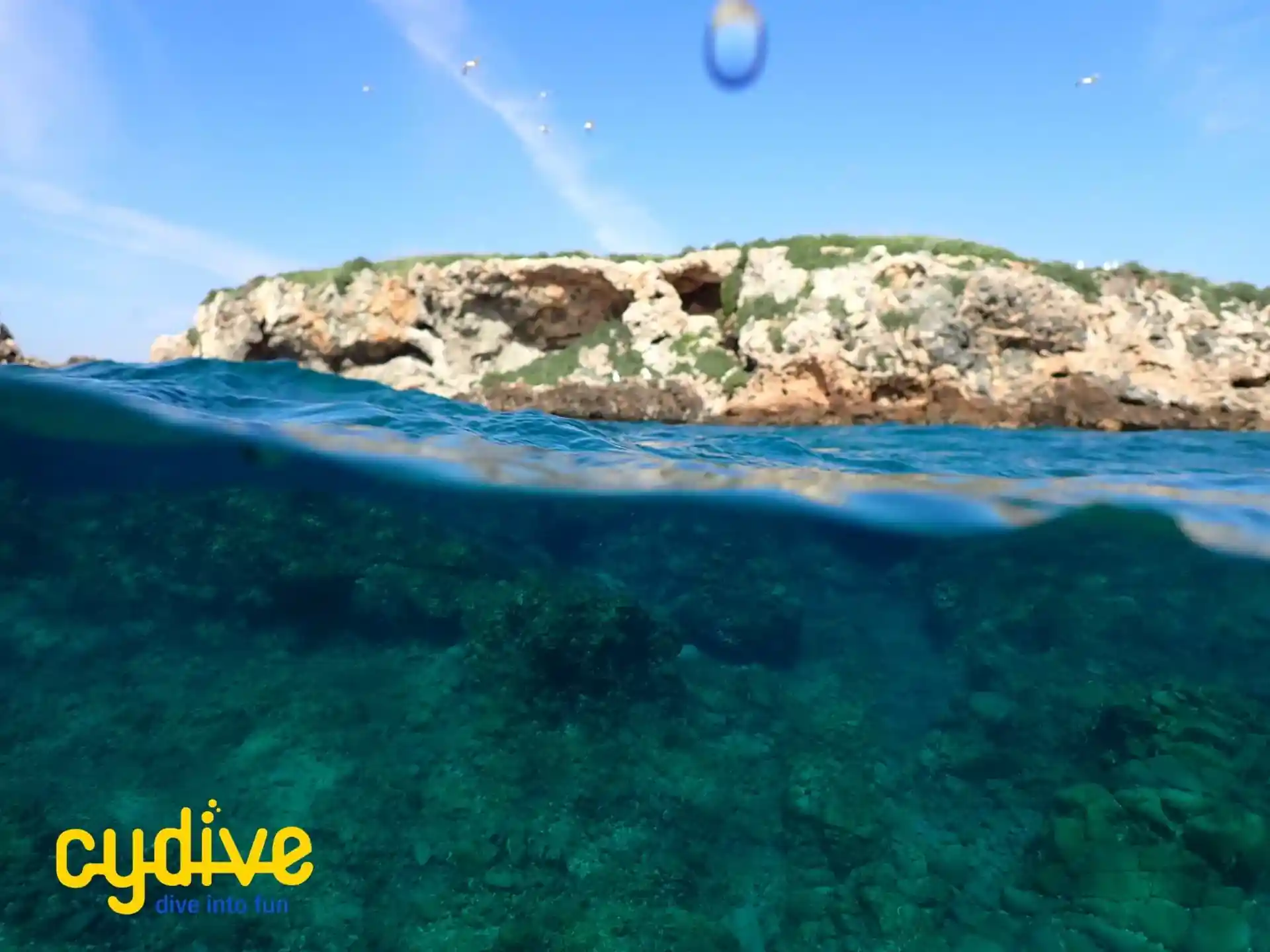 Photo du site de plongée