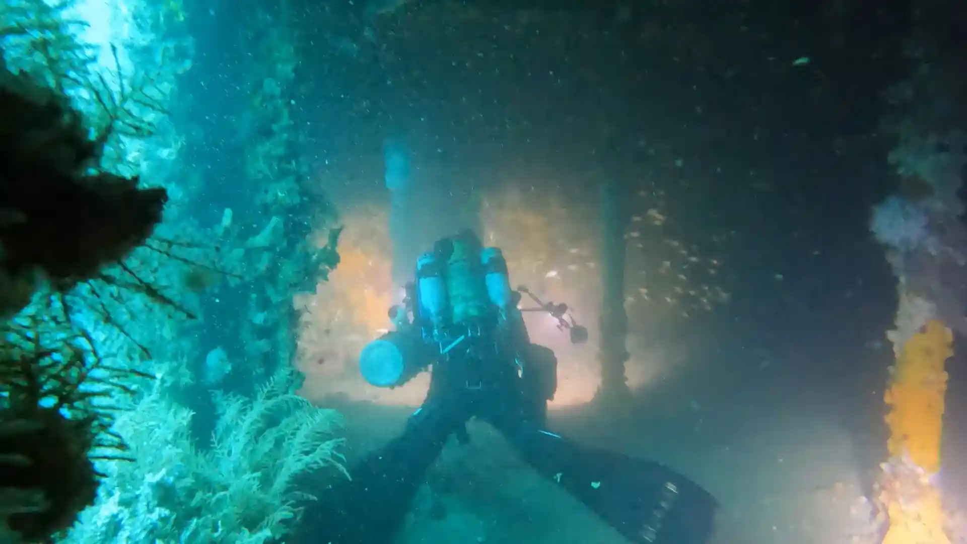 Dive site photo
