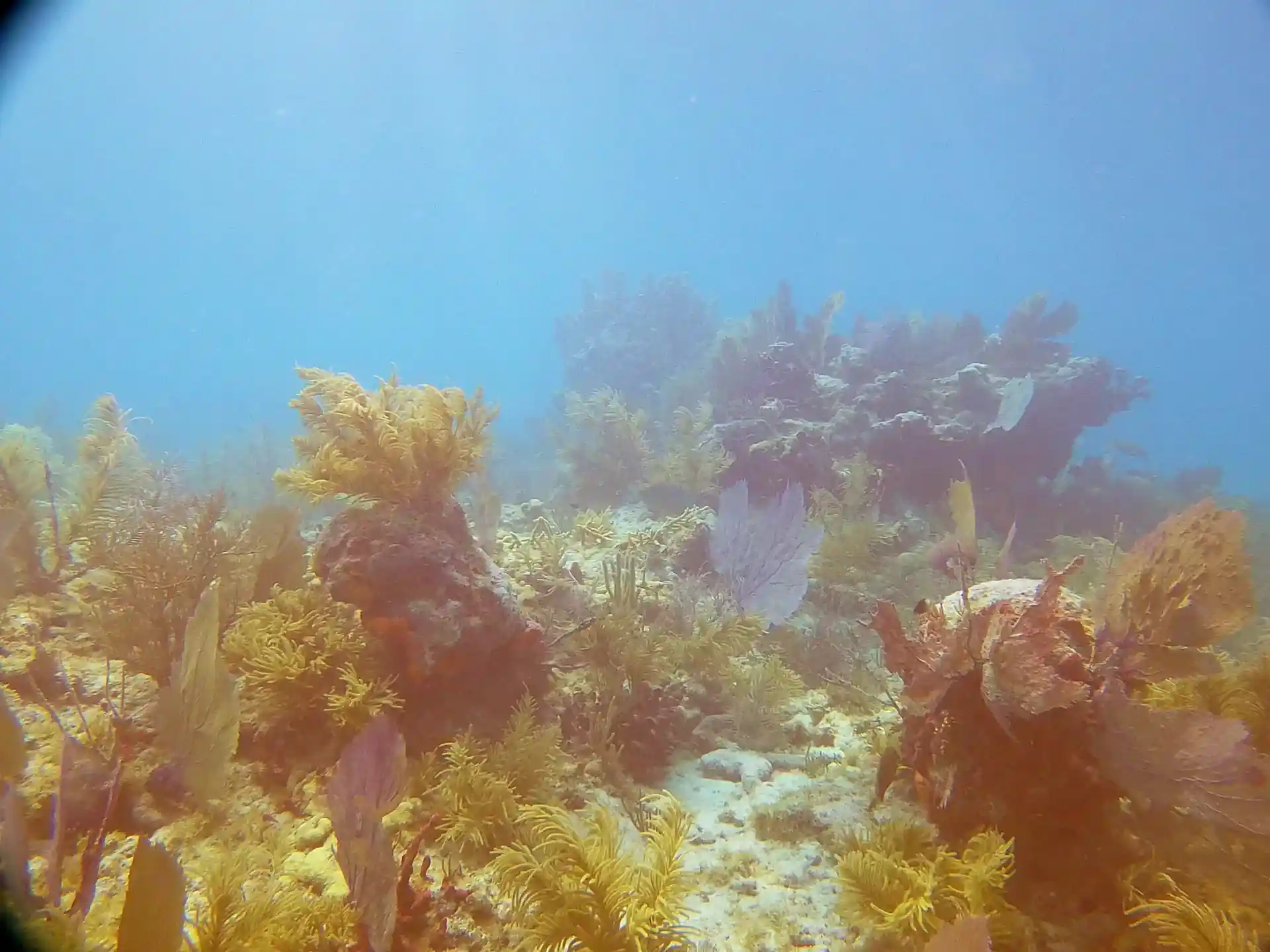 다이빙 포인트 사진