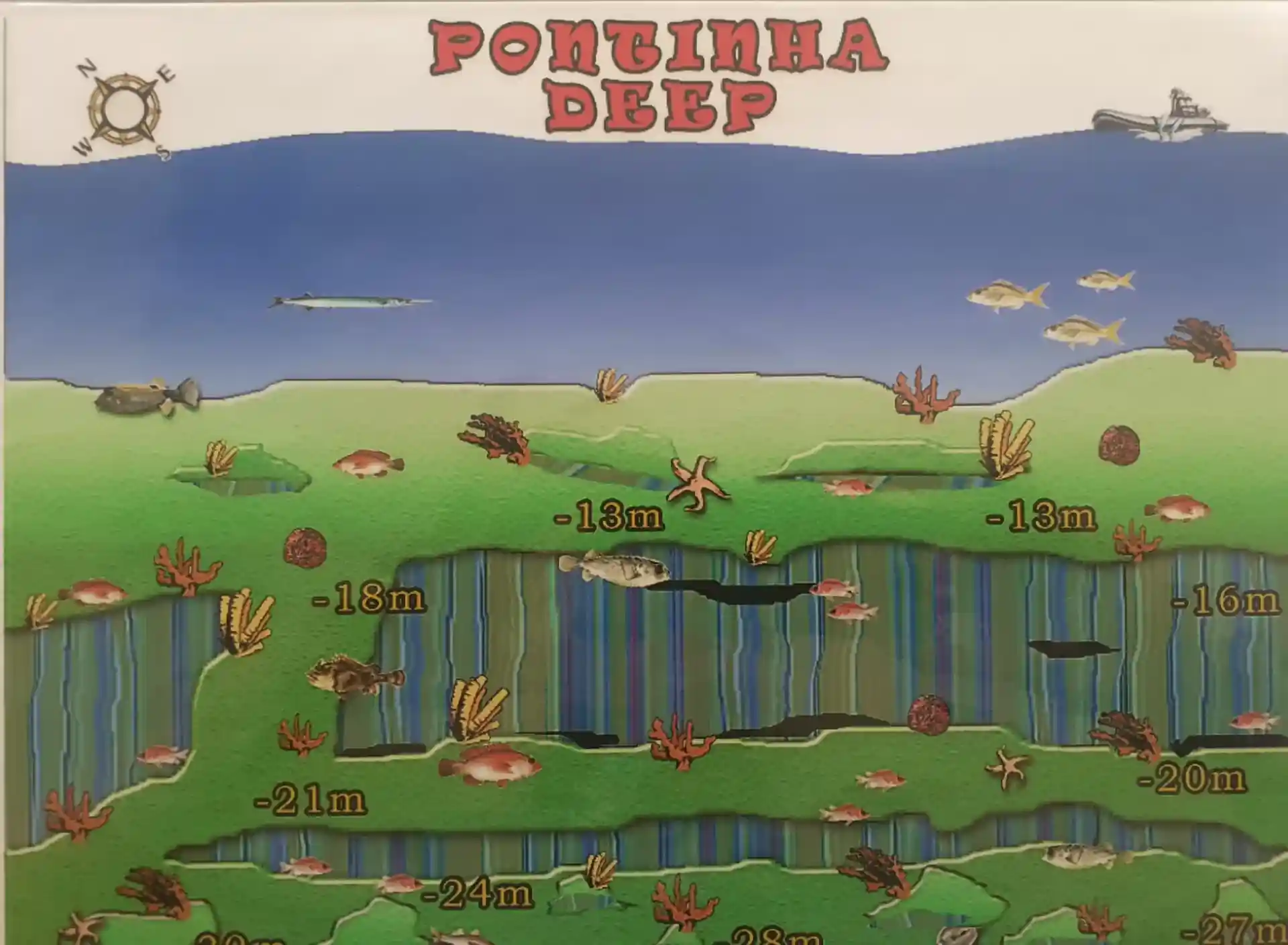 다이빙 포인트 사진