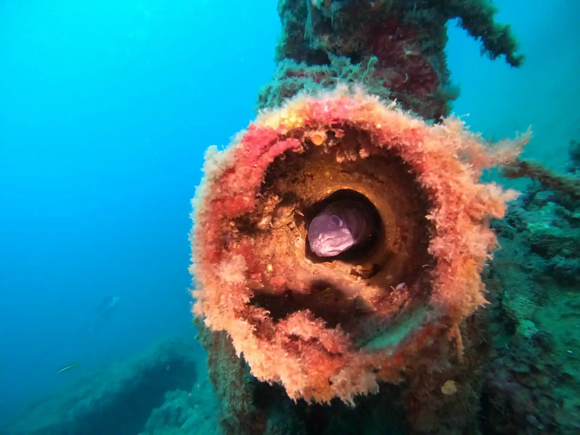 Foto des Tauchplatzes