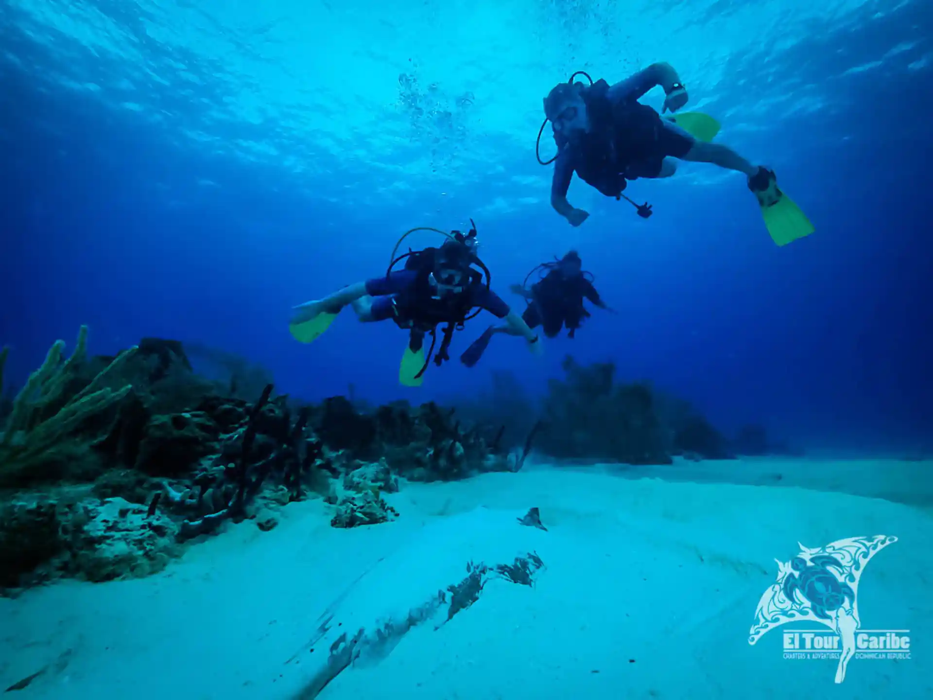 Open Water Students divers marvelling at a large Southern Stingray at Big Ray Point.
