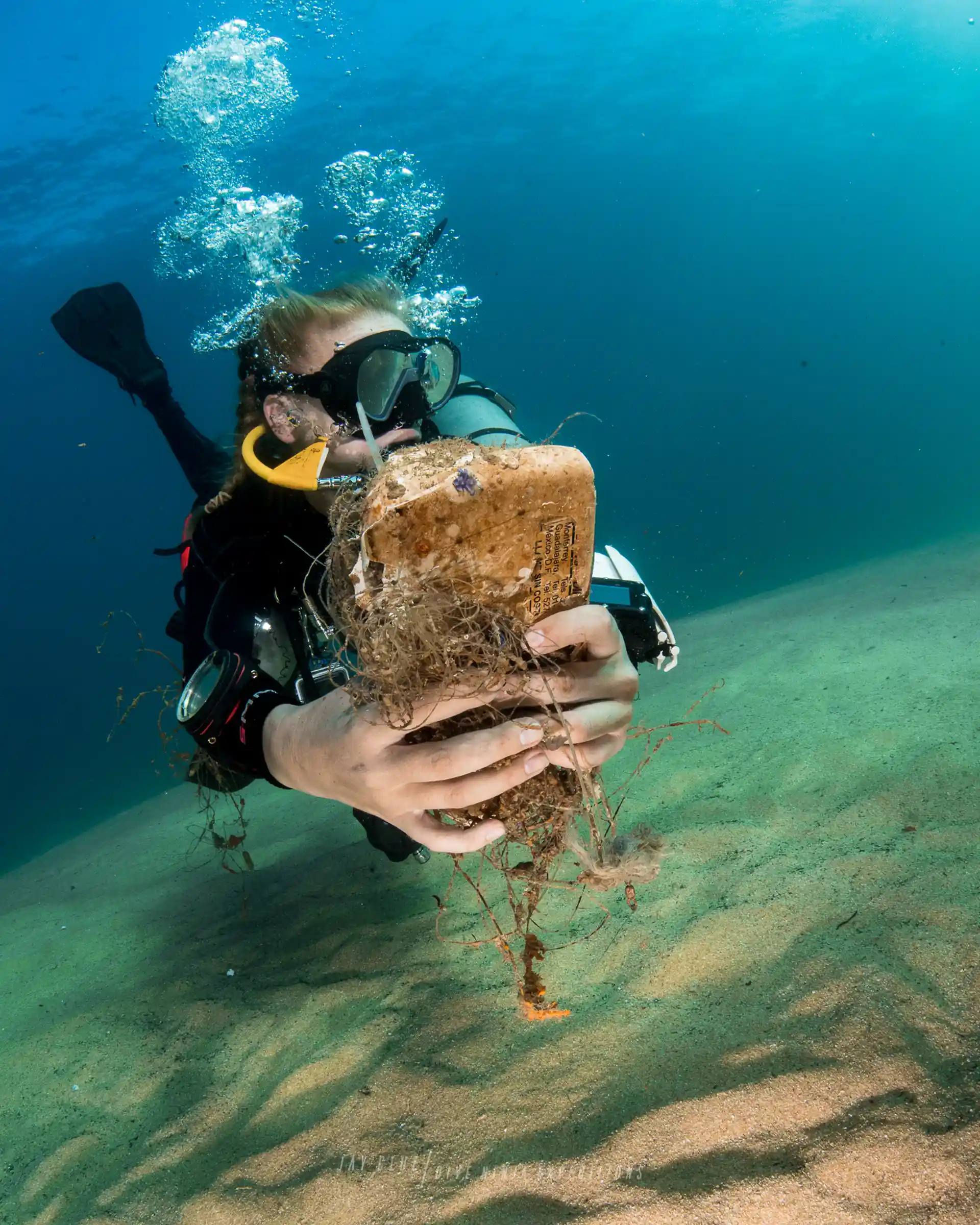 Dive against debris course in Cabo San Lucas Mexico