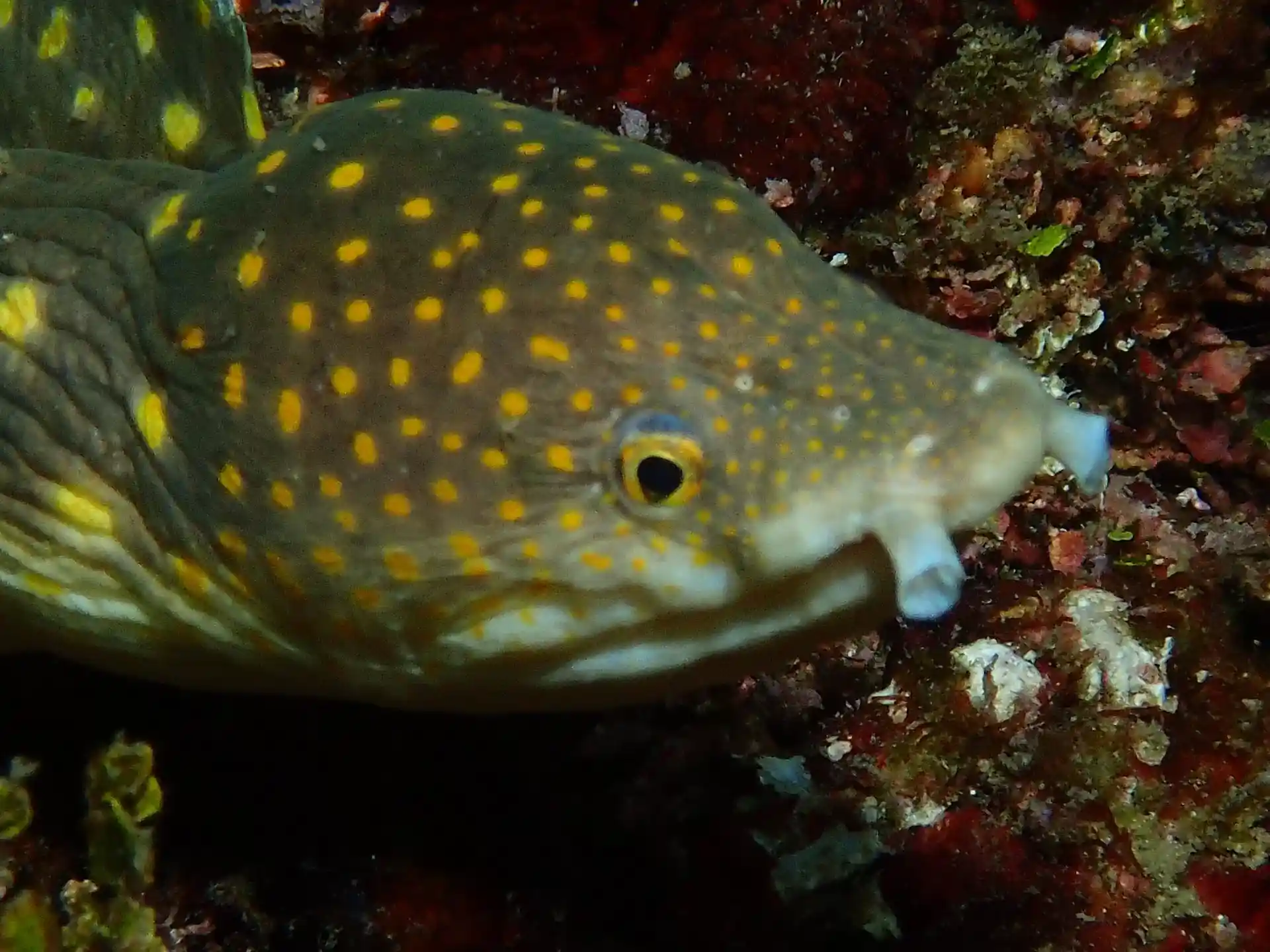 Foto van de duiklocatie