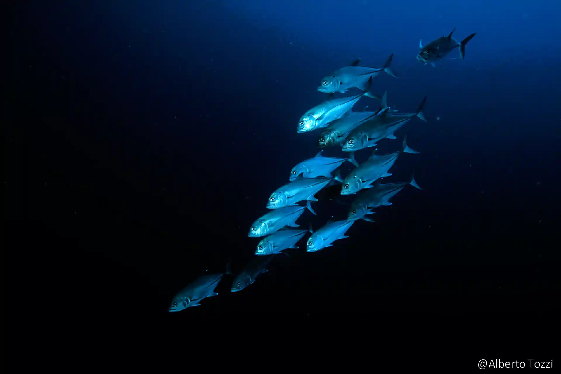 Dive shop photo