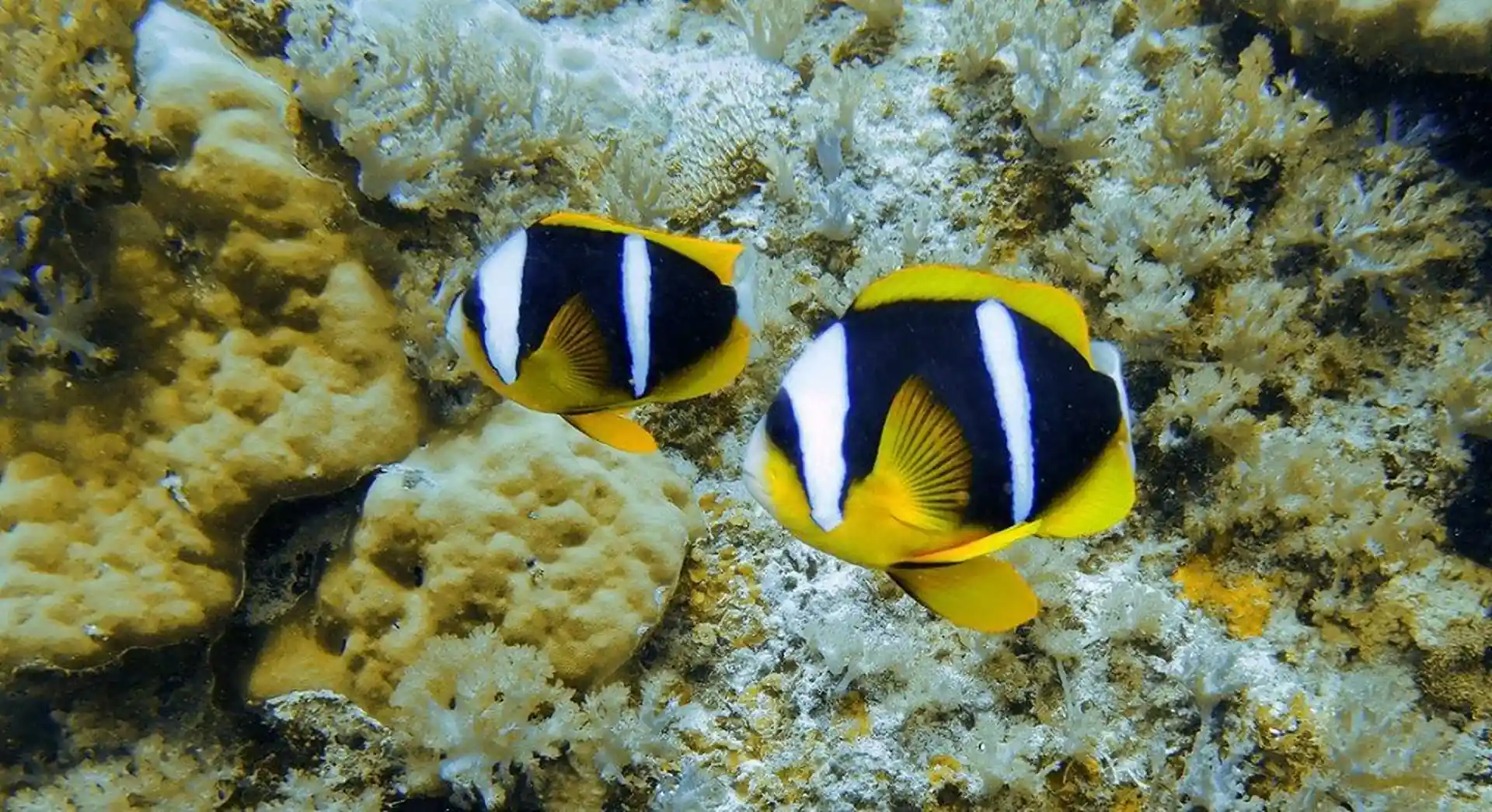 다이빙 포인트 사진