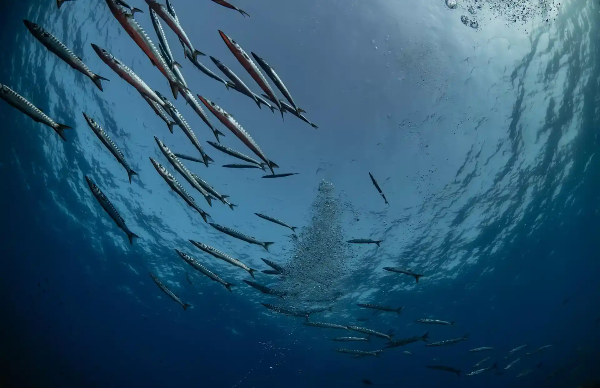 Dive site photo