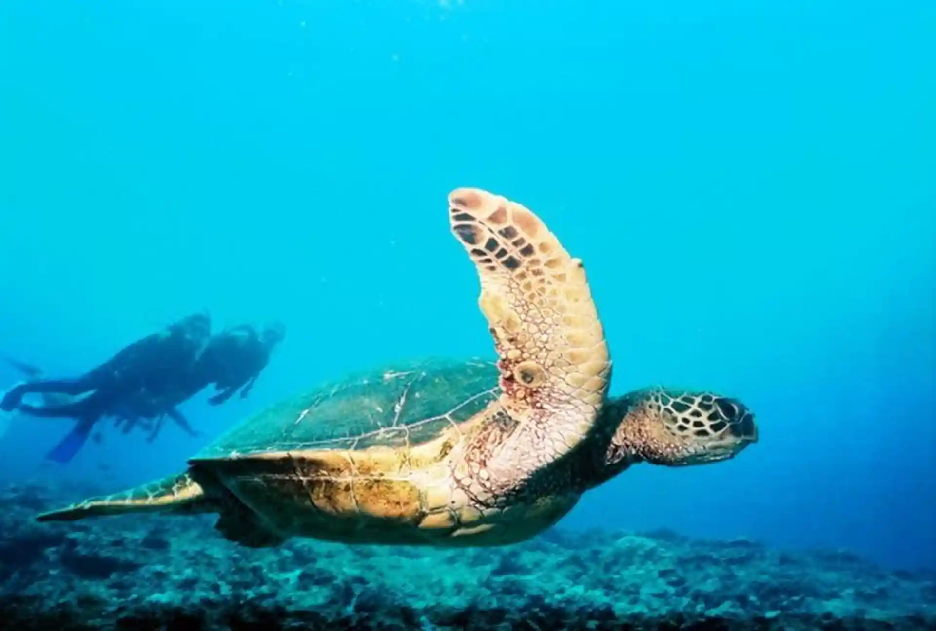 Dive site photo