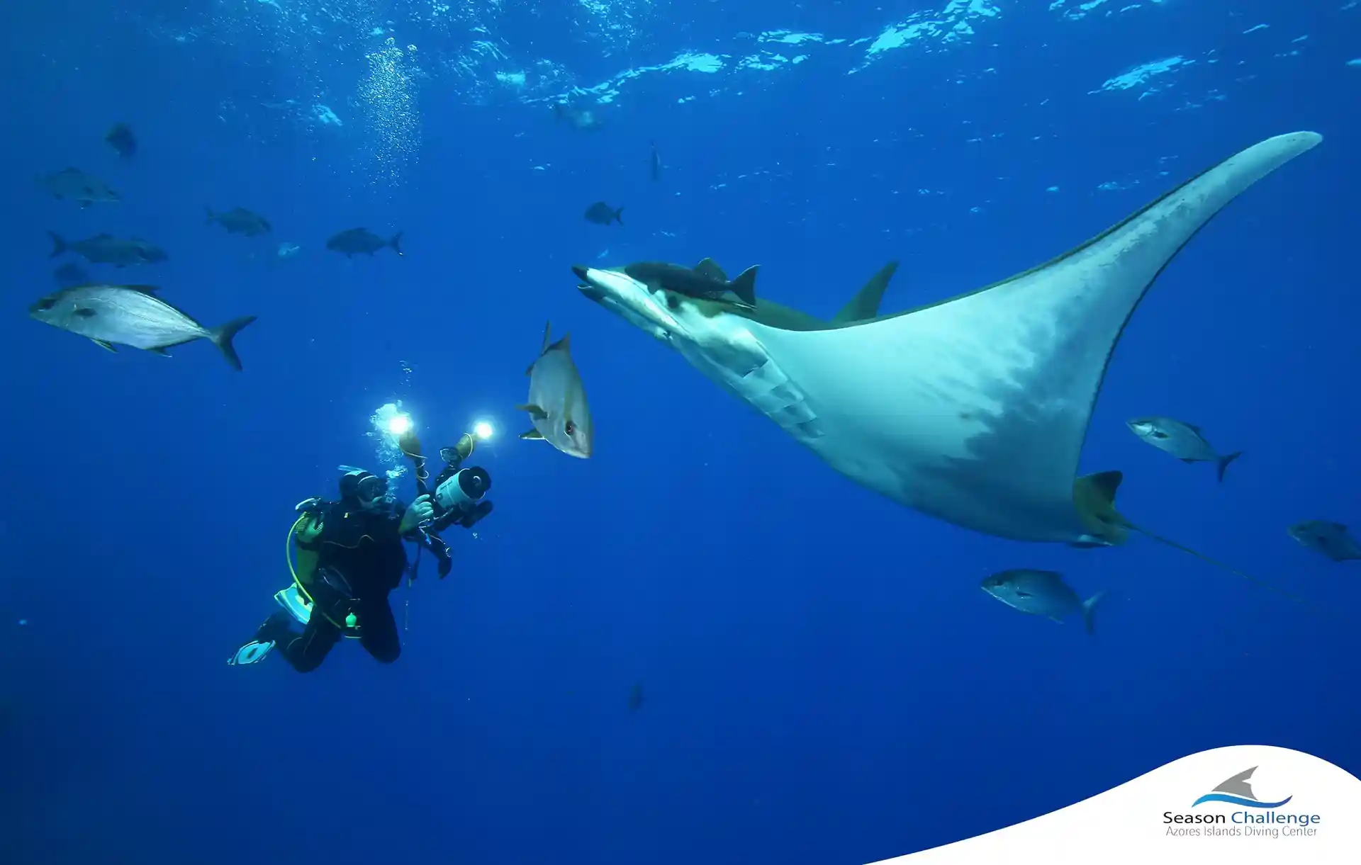 Dive site photo