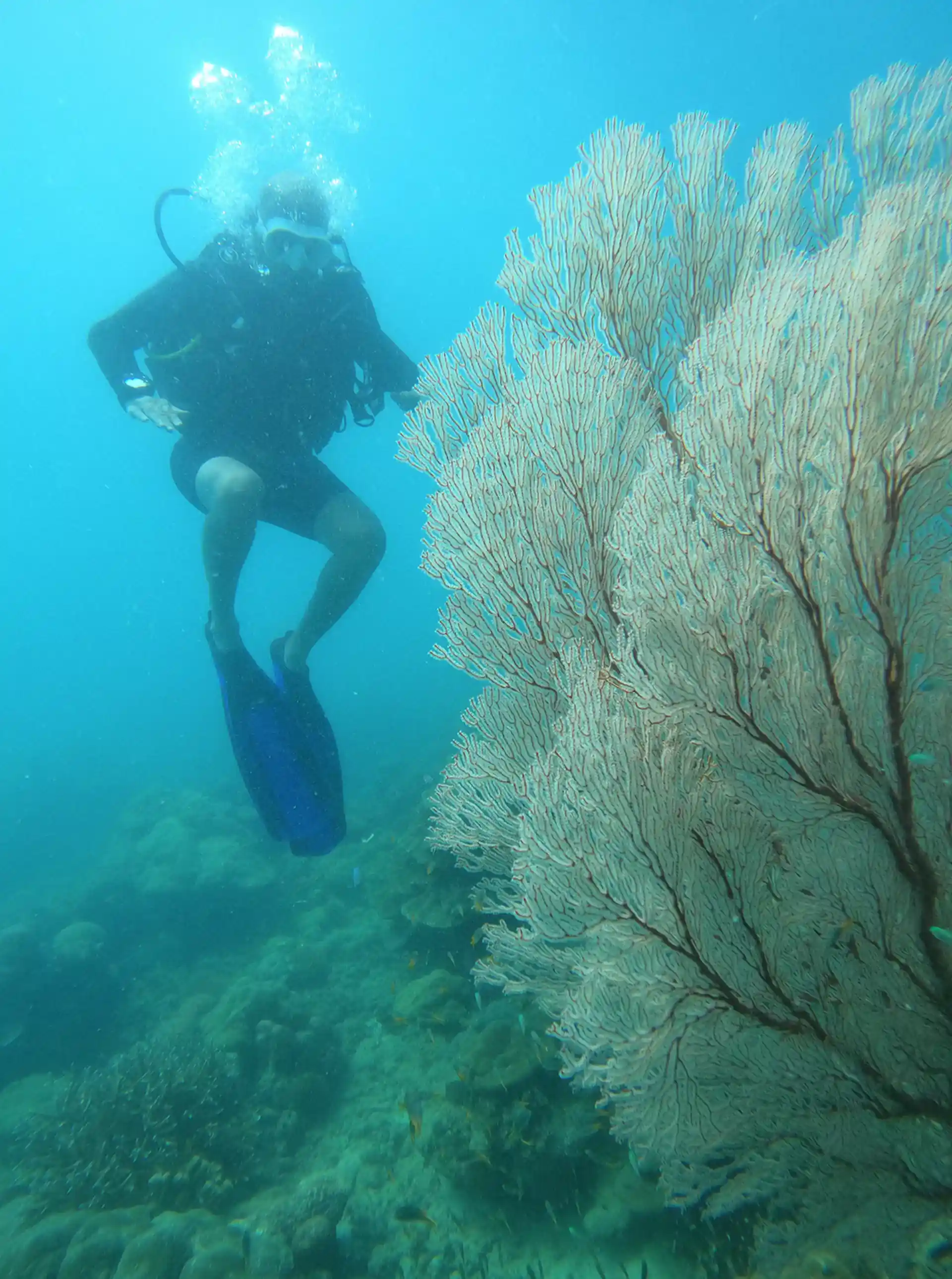 Dive site photo