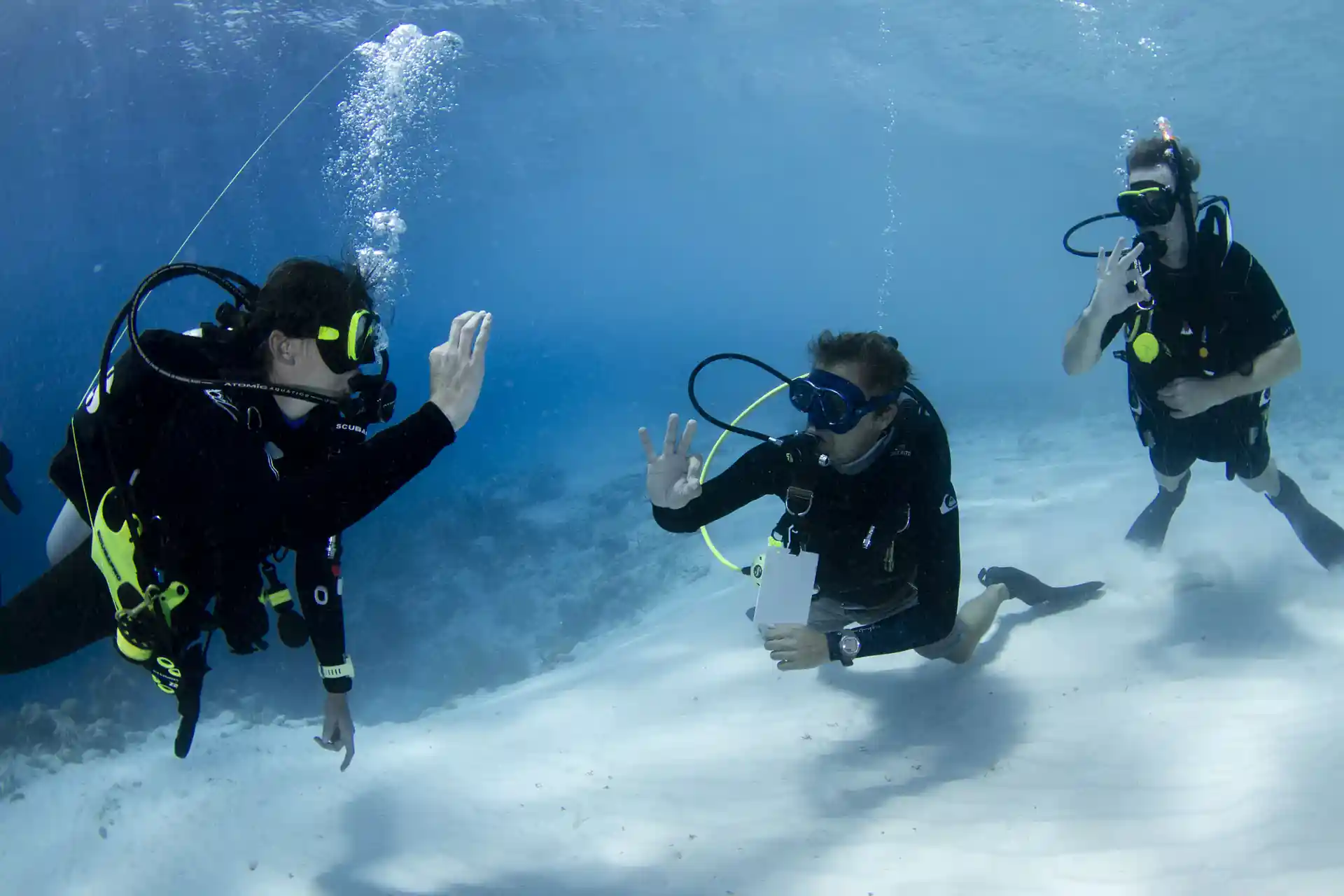 Introduction Dive