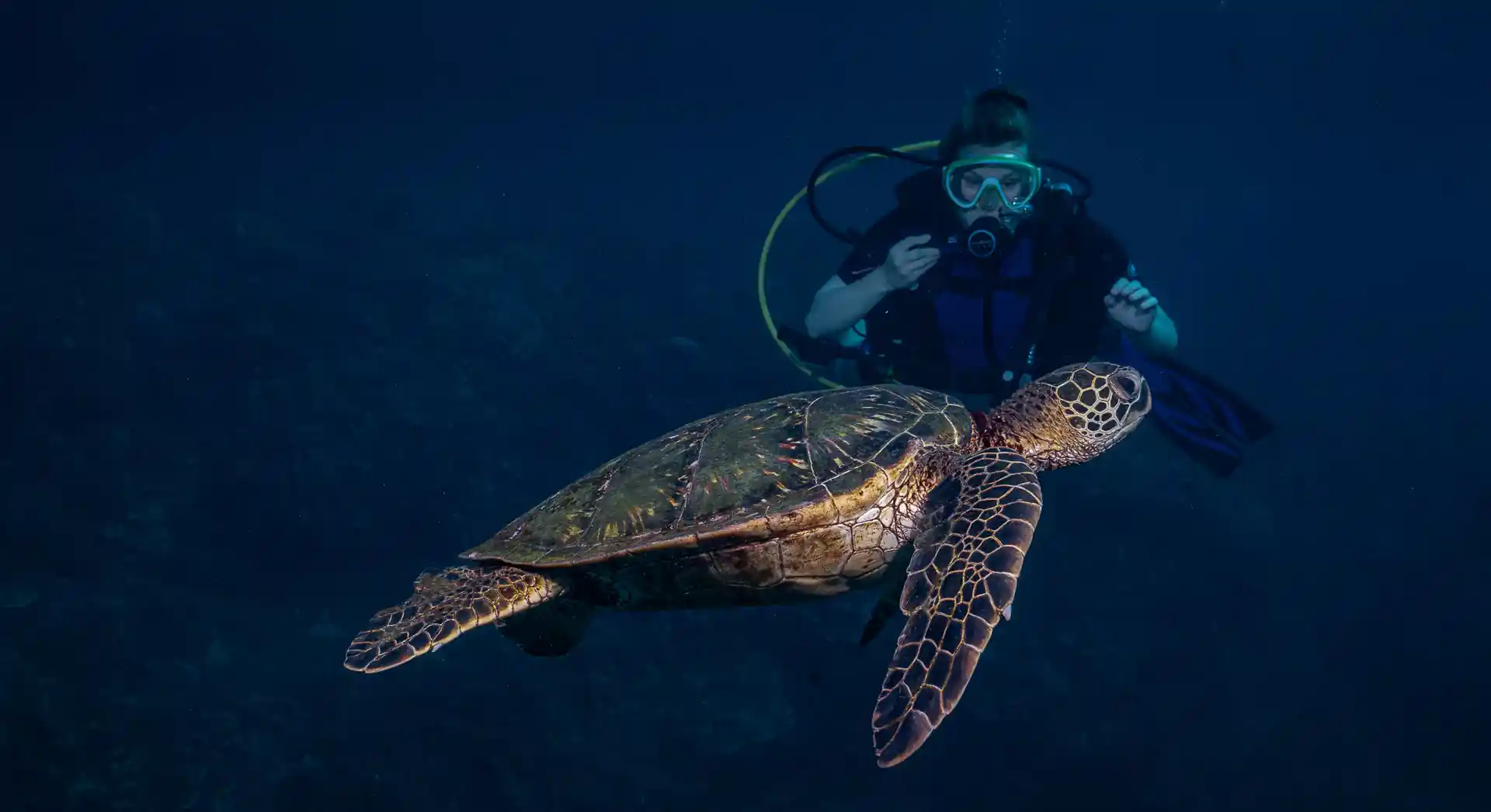 Dive site photo