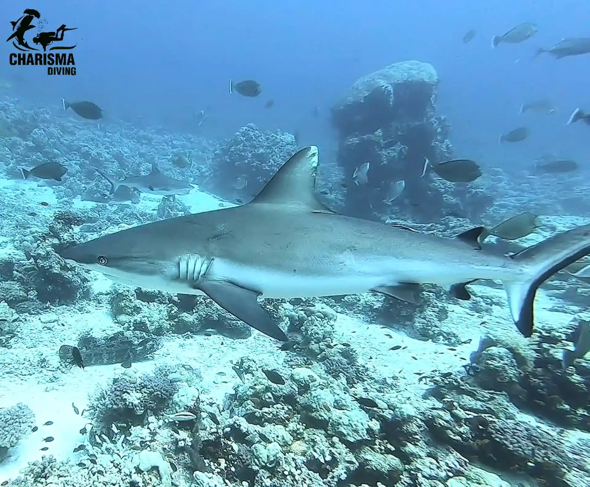 Dive site photo