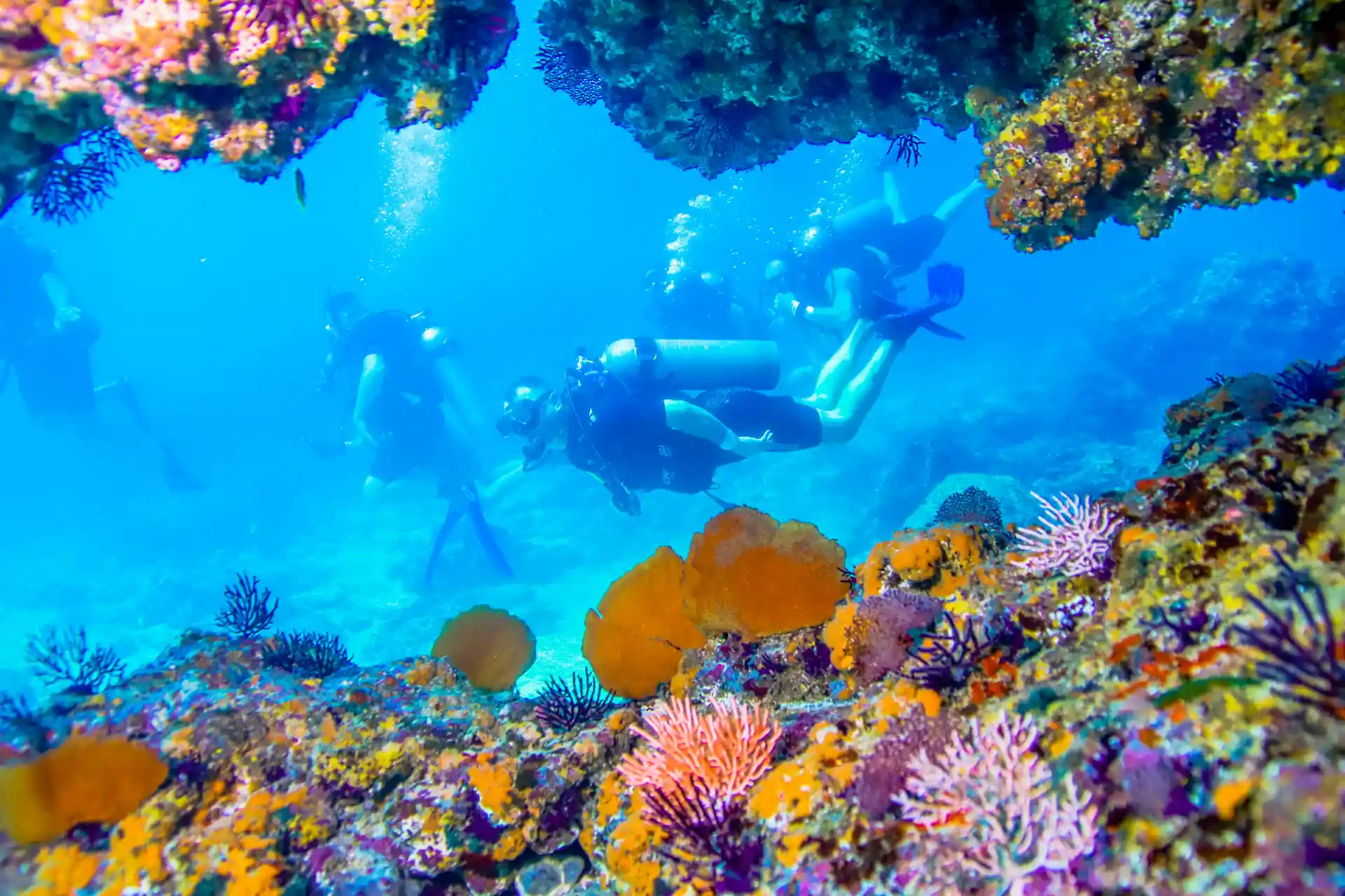 Dive shop photo