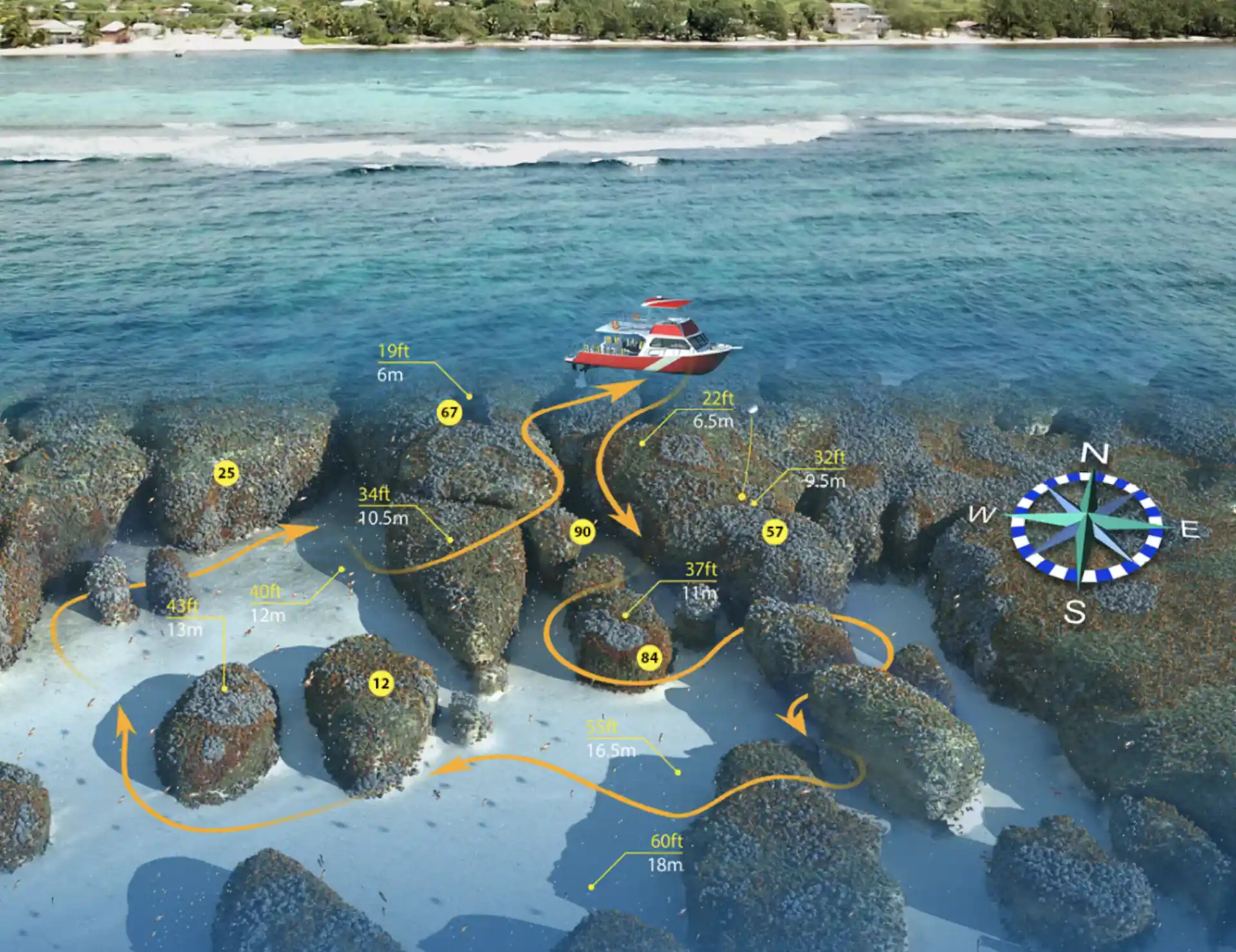 Photo du site de plongée