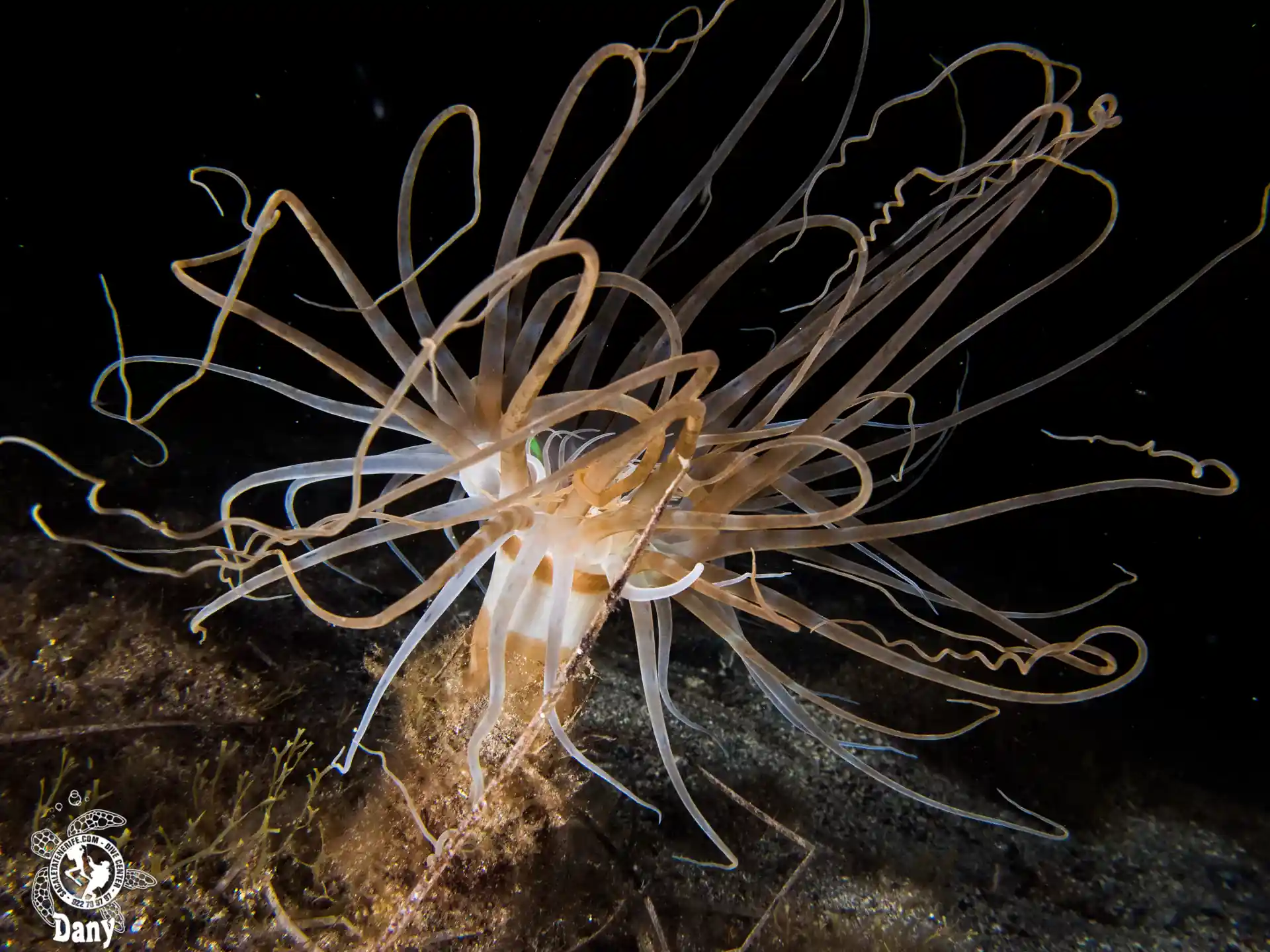 Foto de la actividad