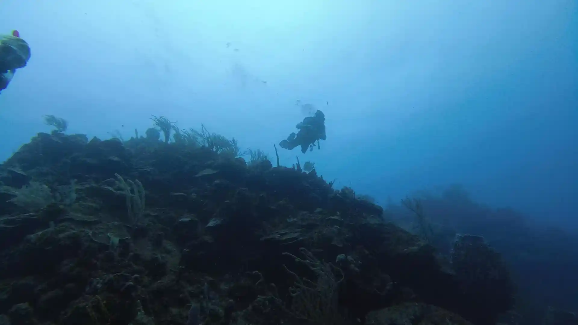Dive site photo