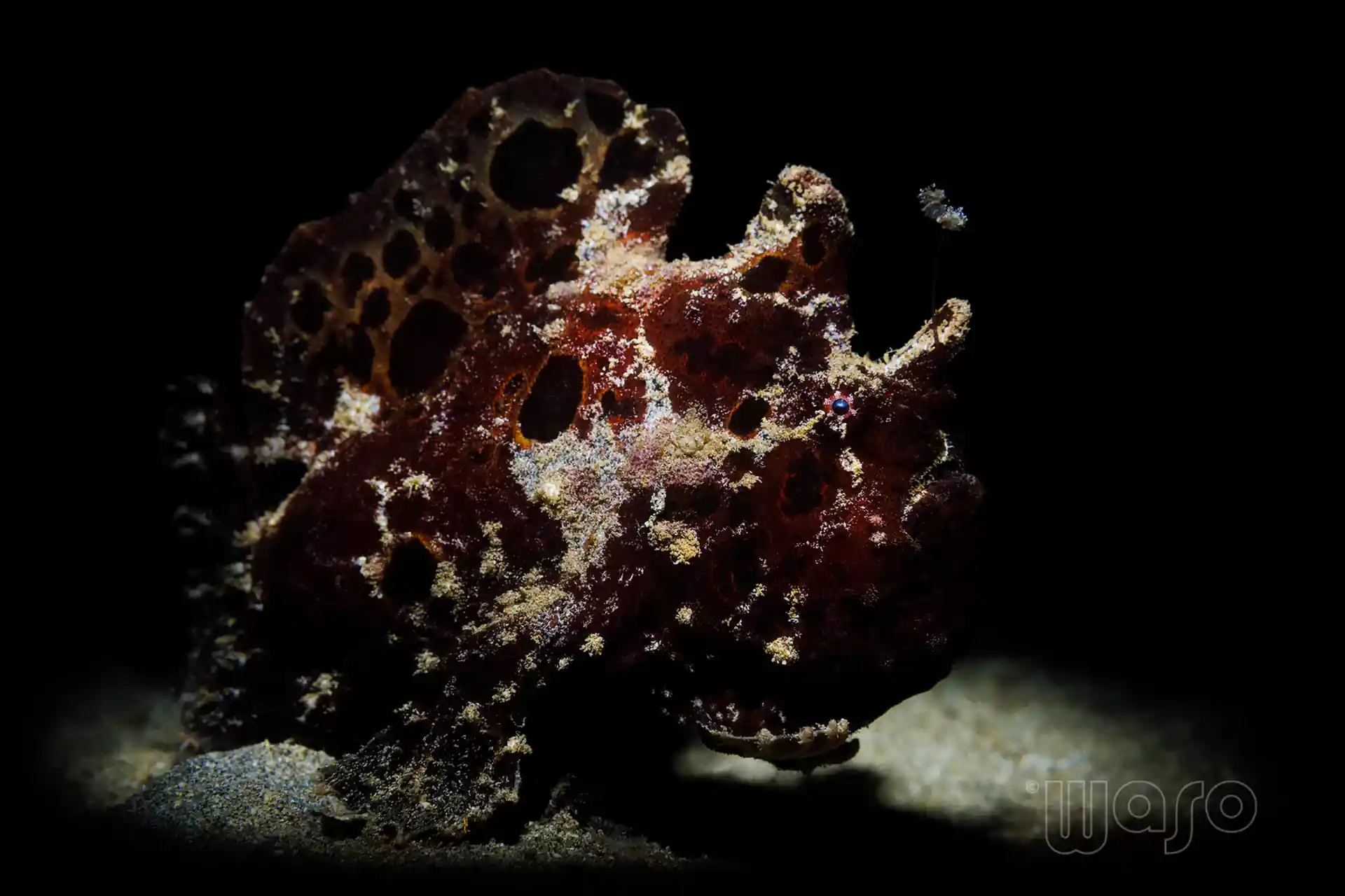 Foto van de duiklocatie