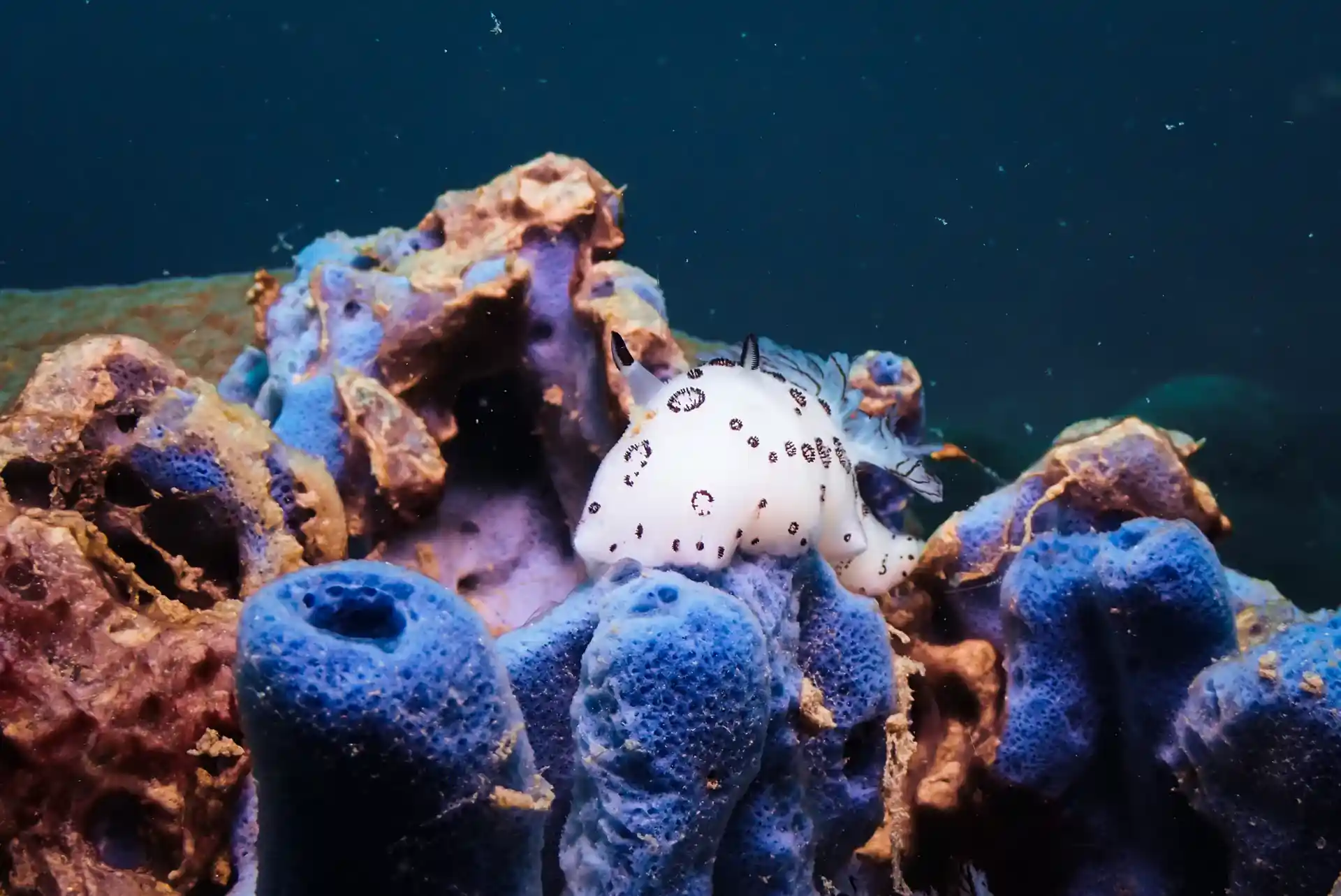 Explore more. Worry less