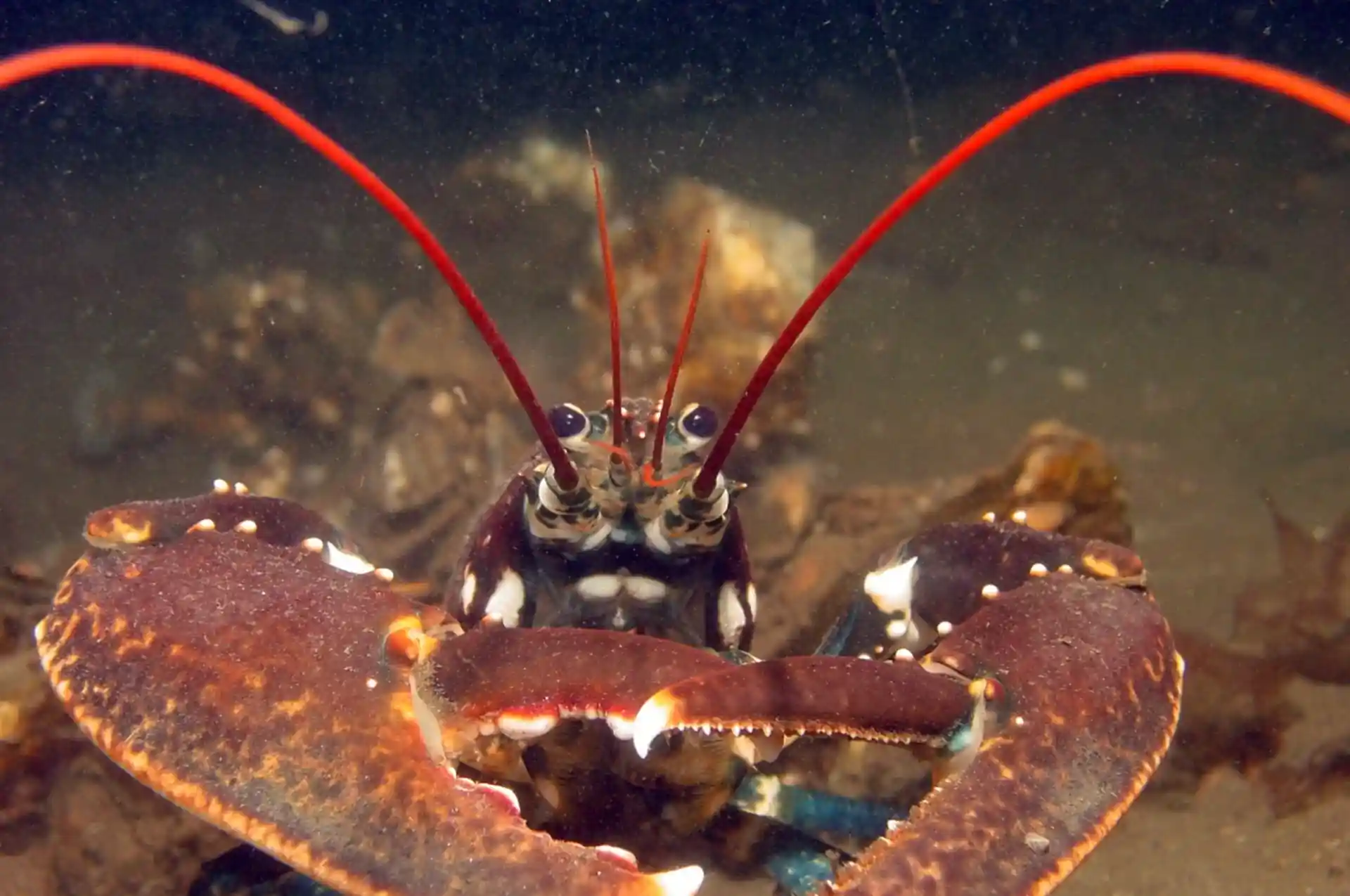 Foto des Tauchplatzes