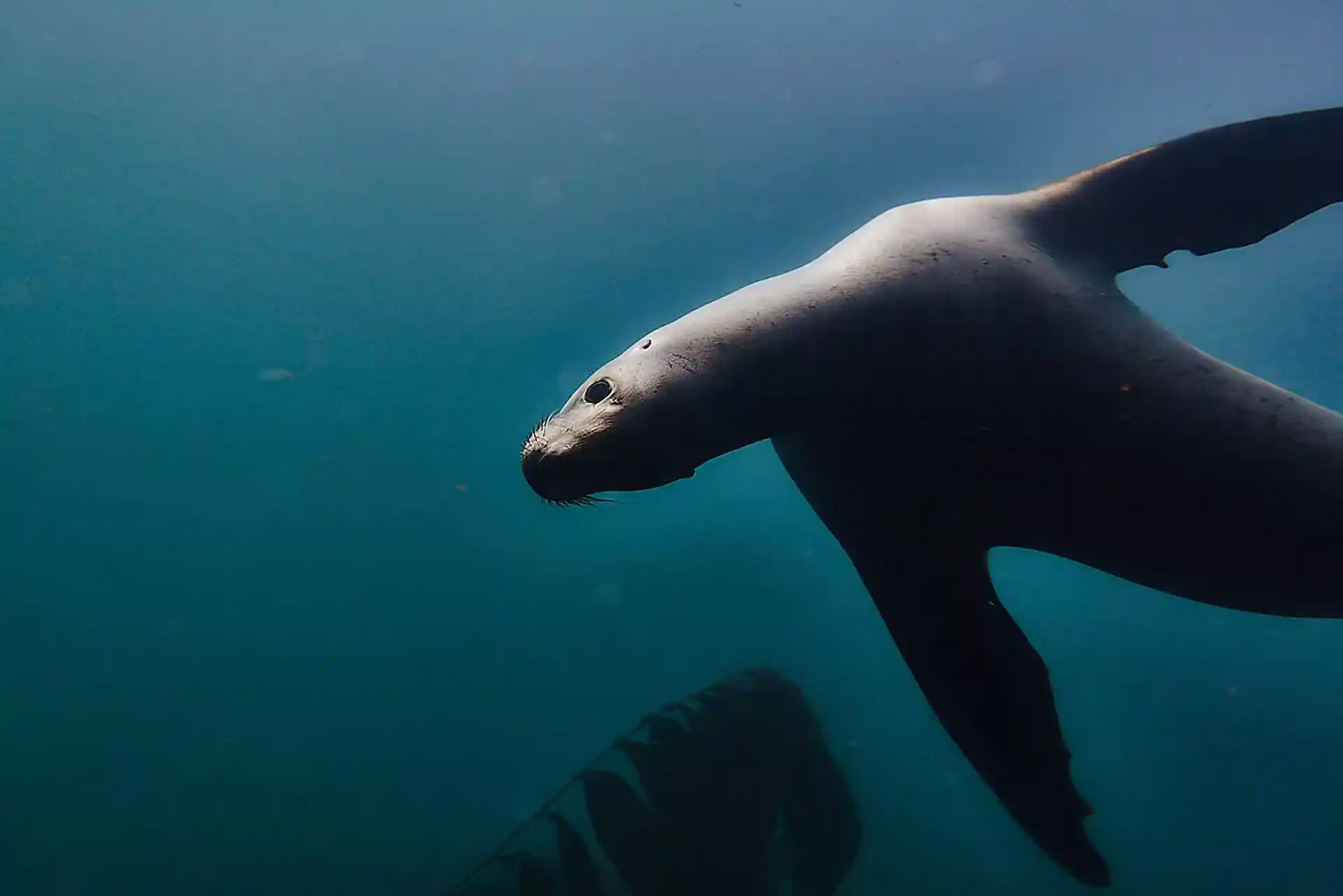 다이빙 포인트 사진