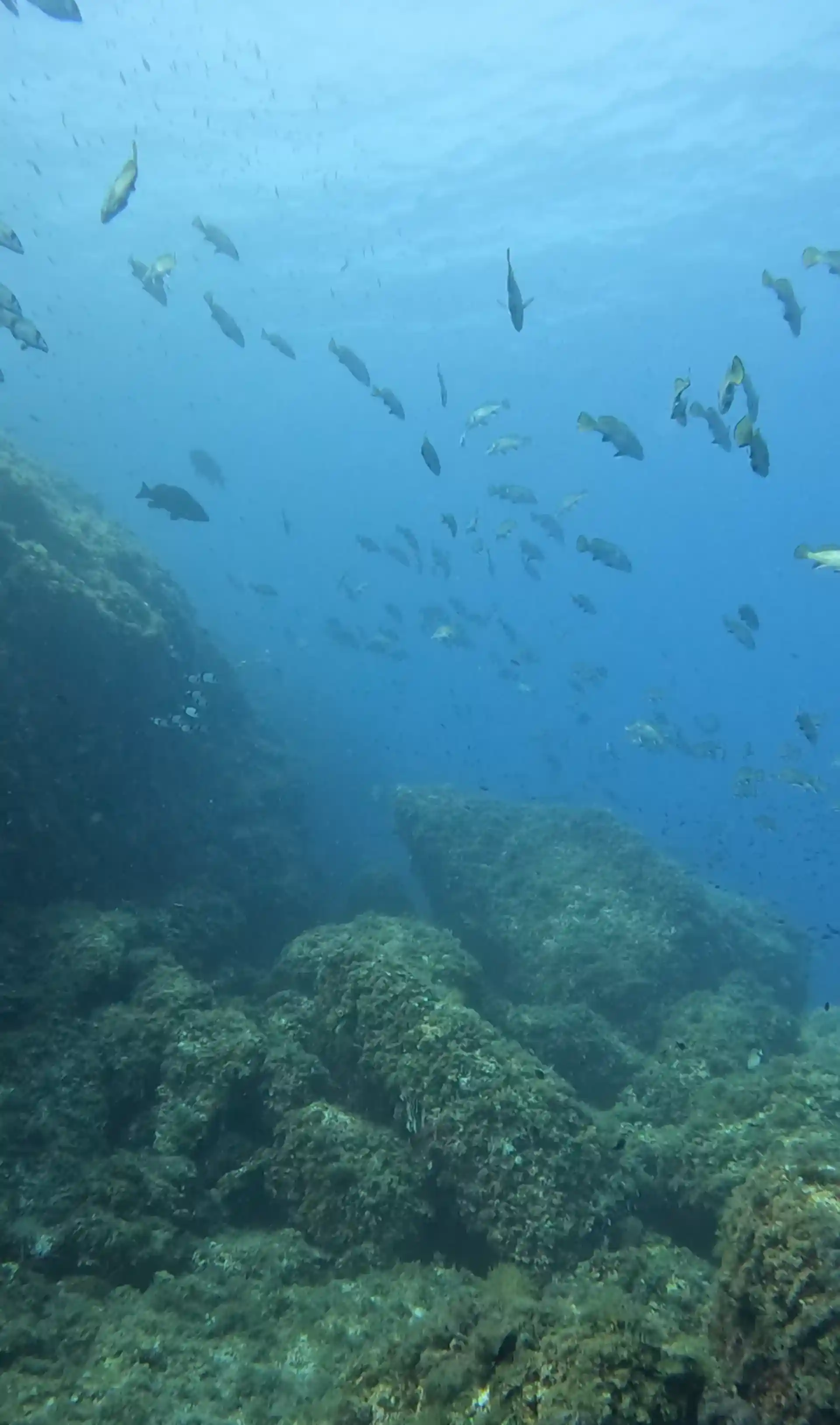 Dive site photo