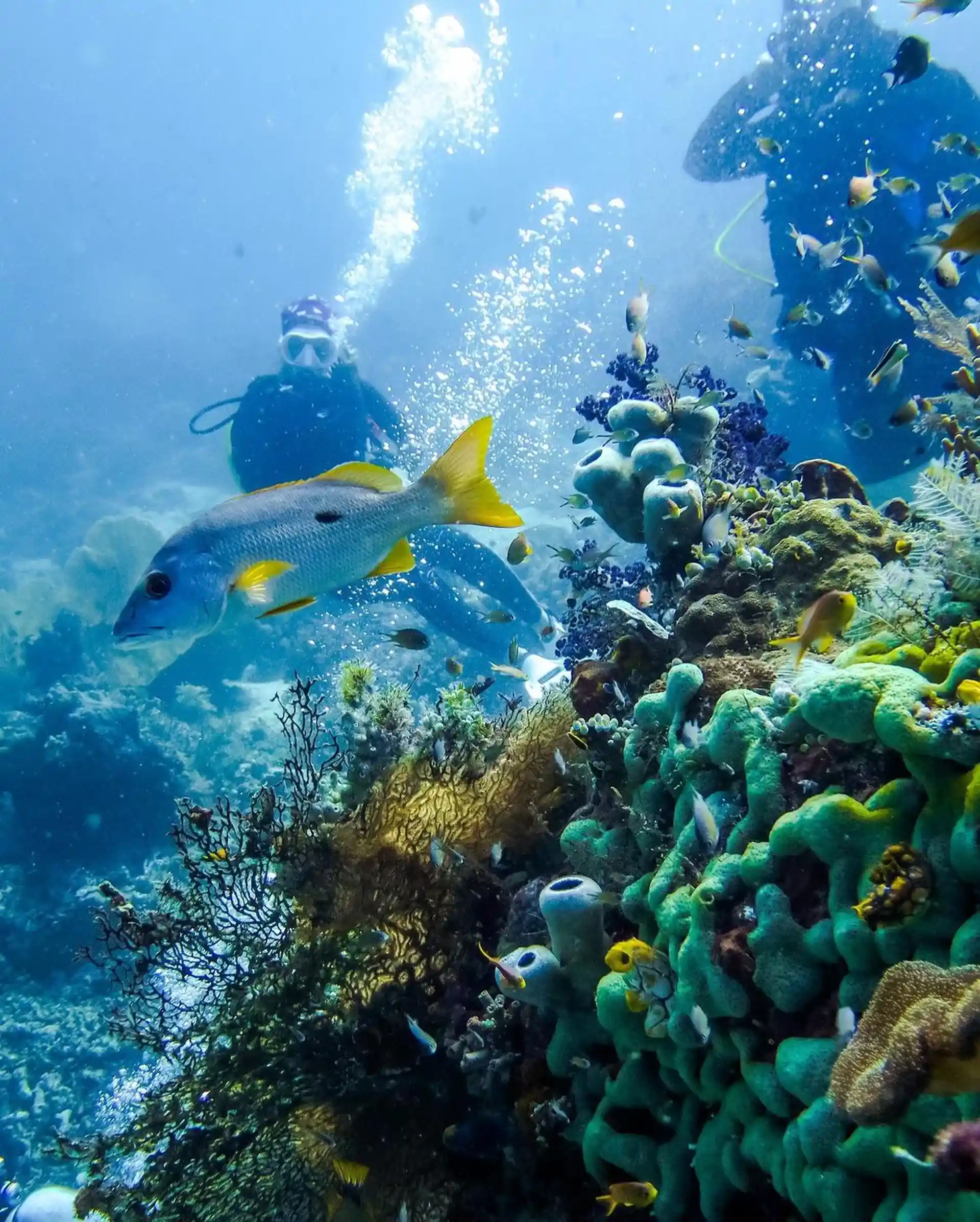 Dive site photo
