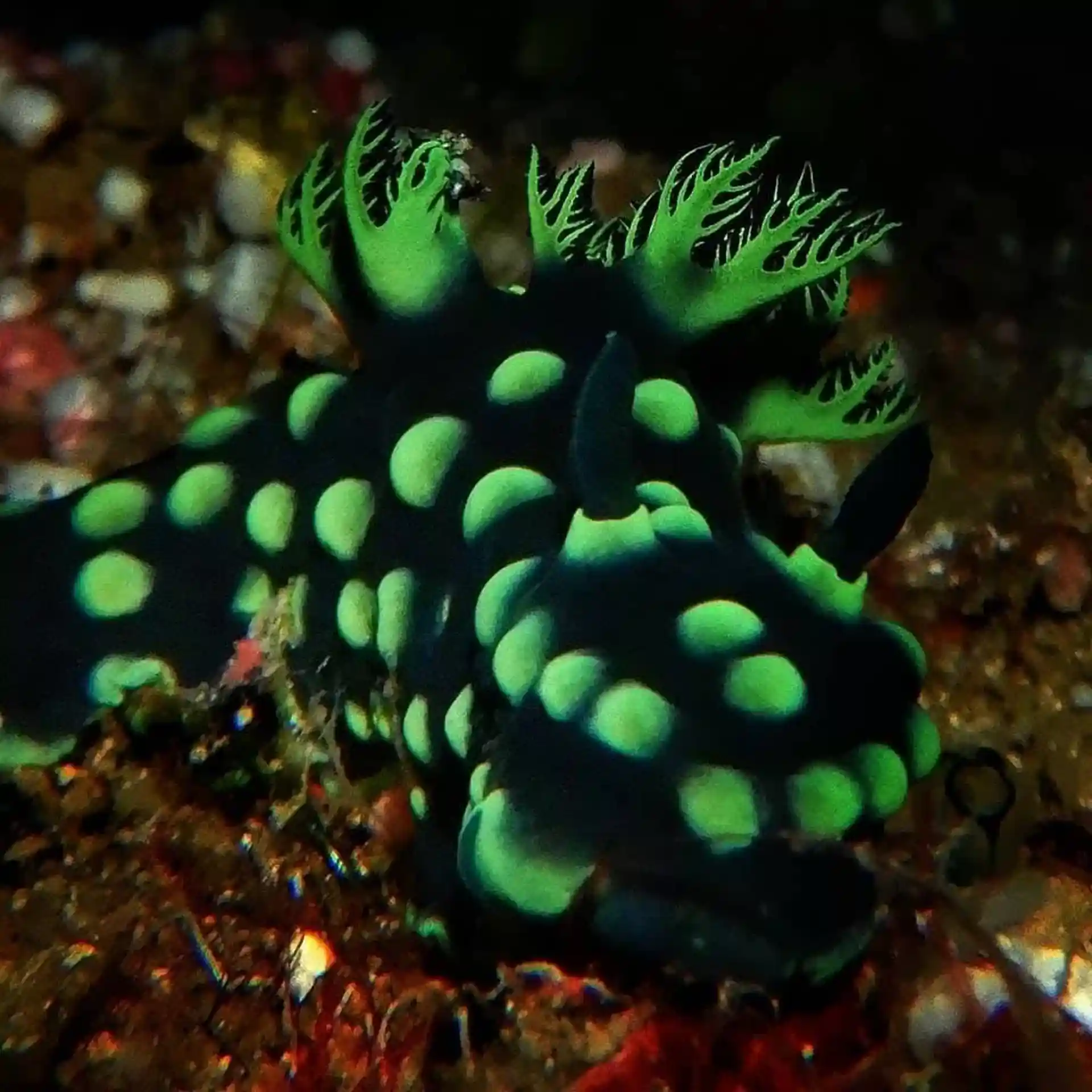 Foto des Tauchplatzes