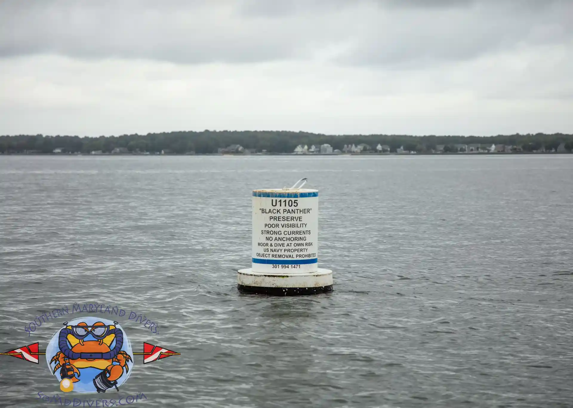 ダイビングサイトの写真